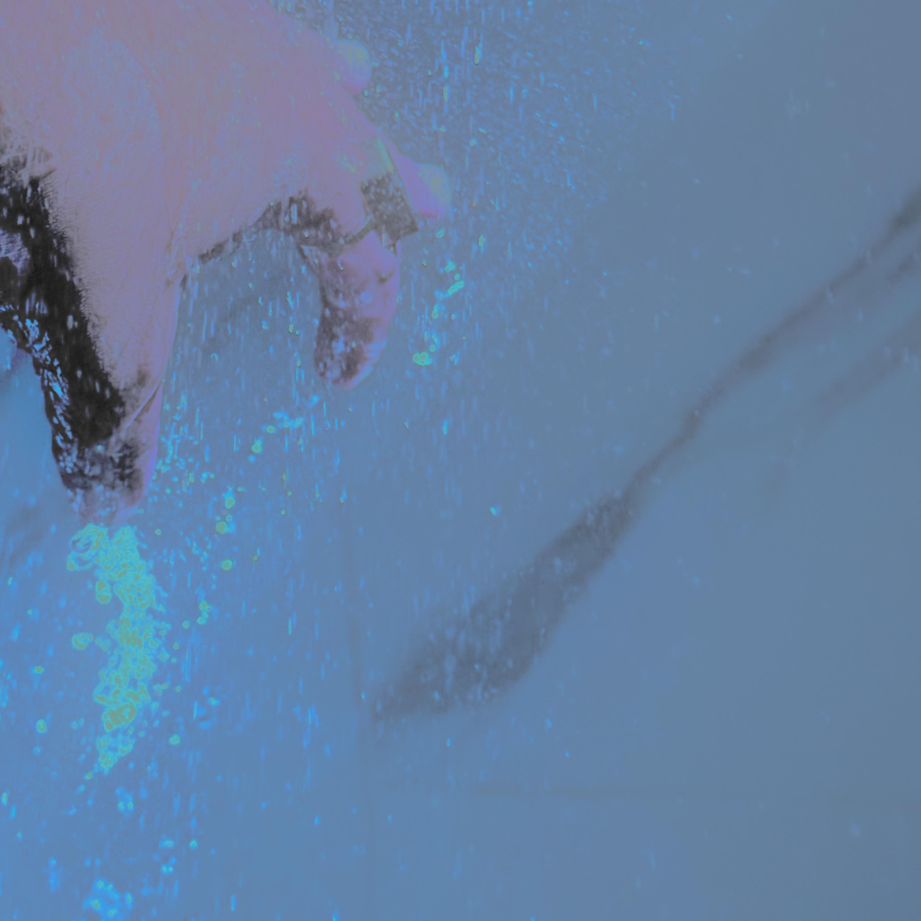 Ghost Shots ( Planting Onxy ) artwork