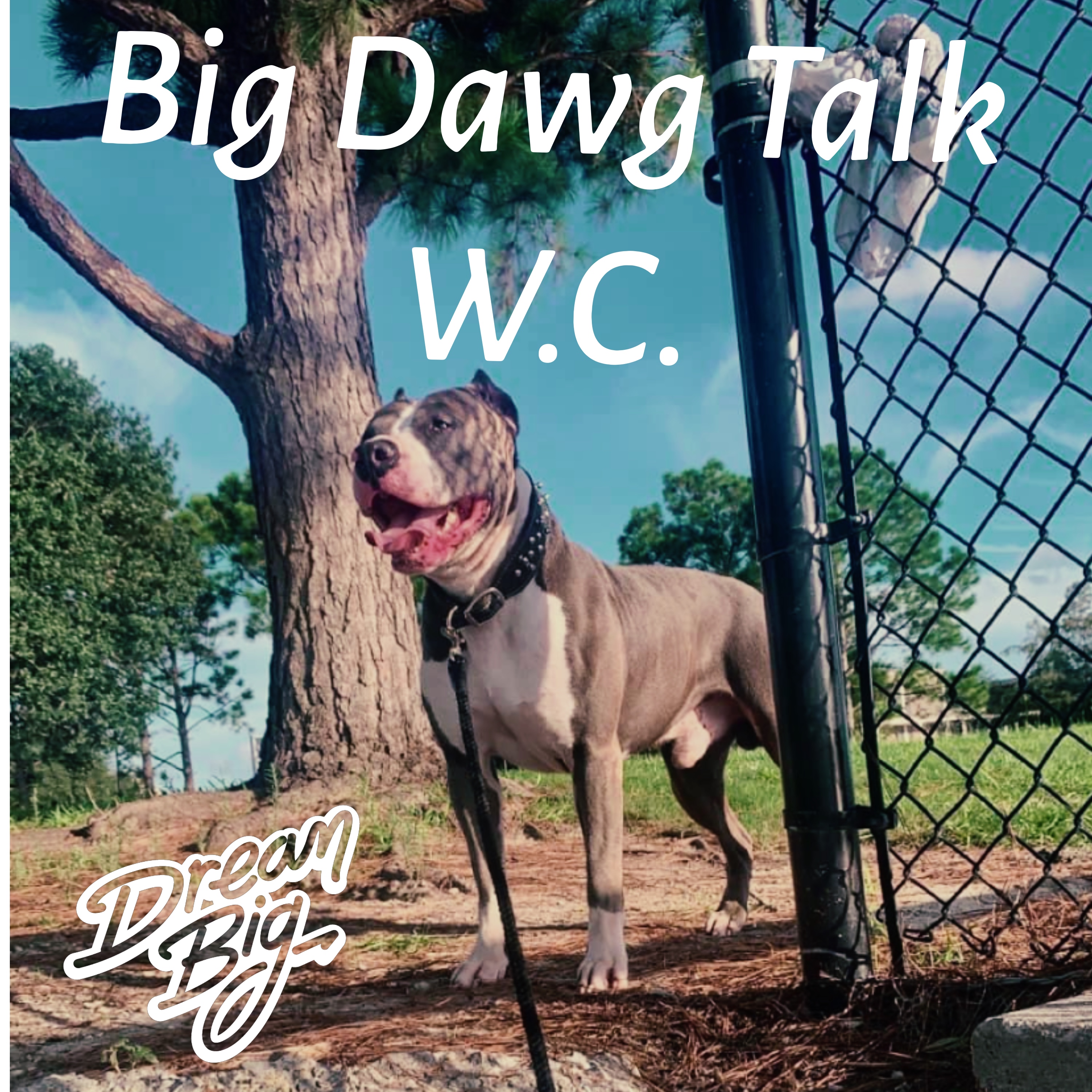 Big Dawg Talk artwork
