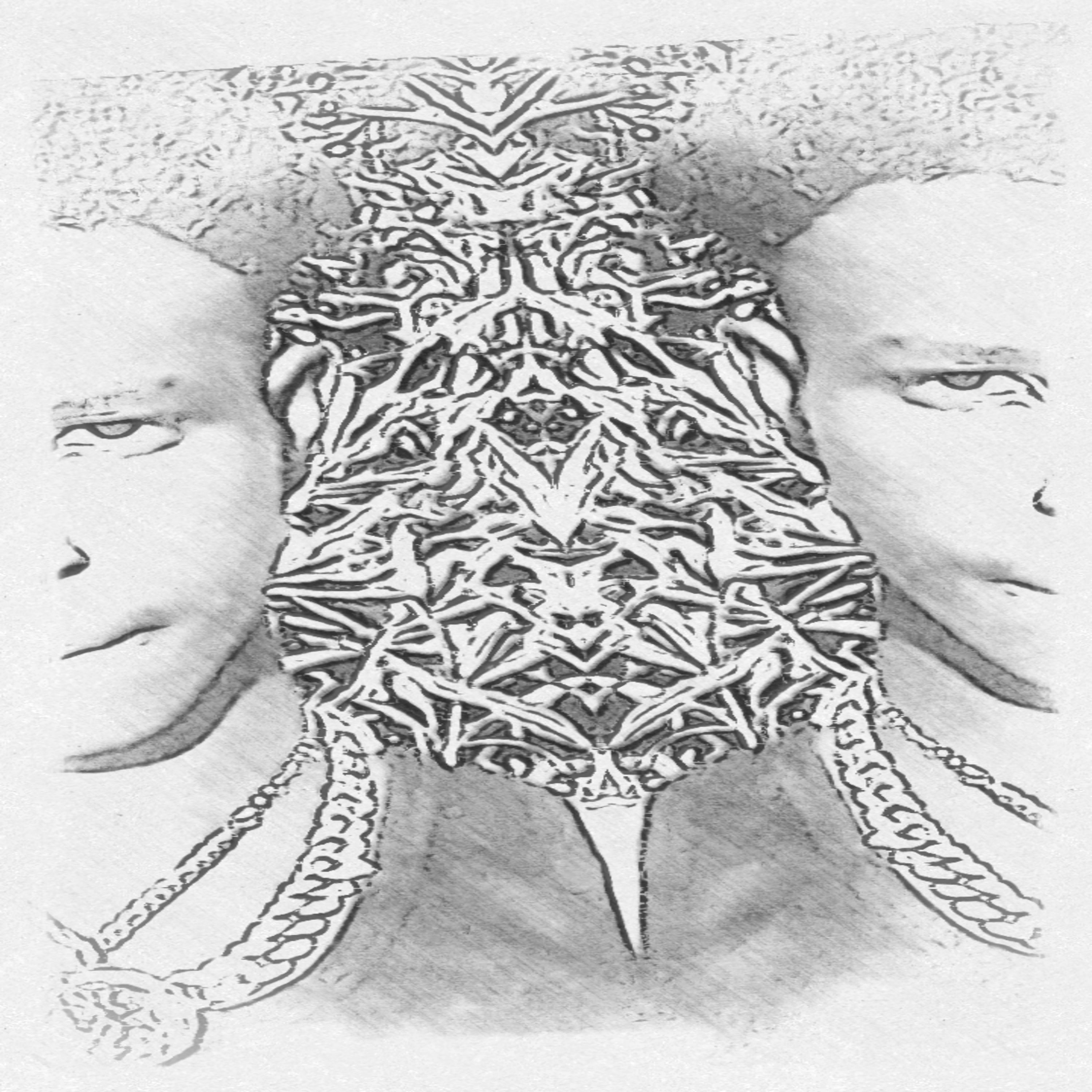 Fasho artwork