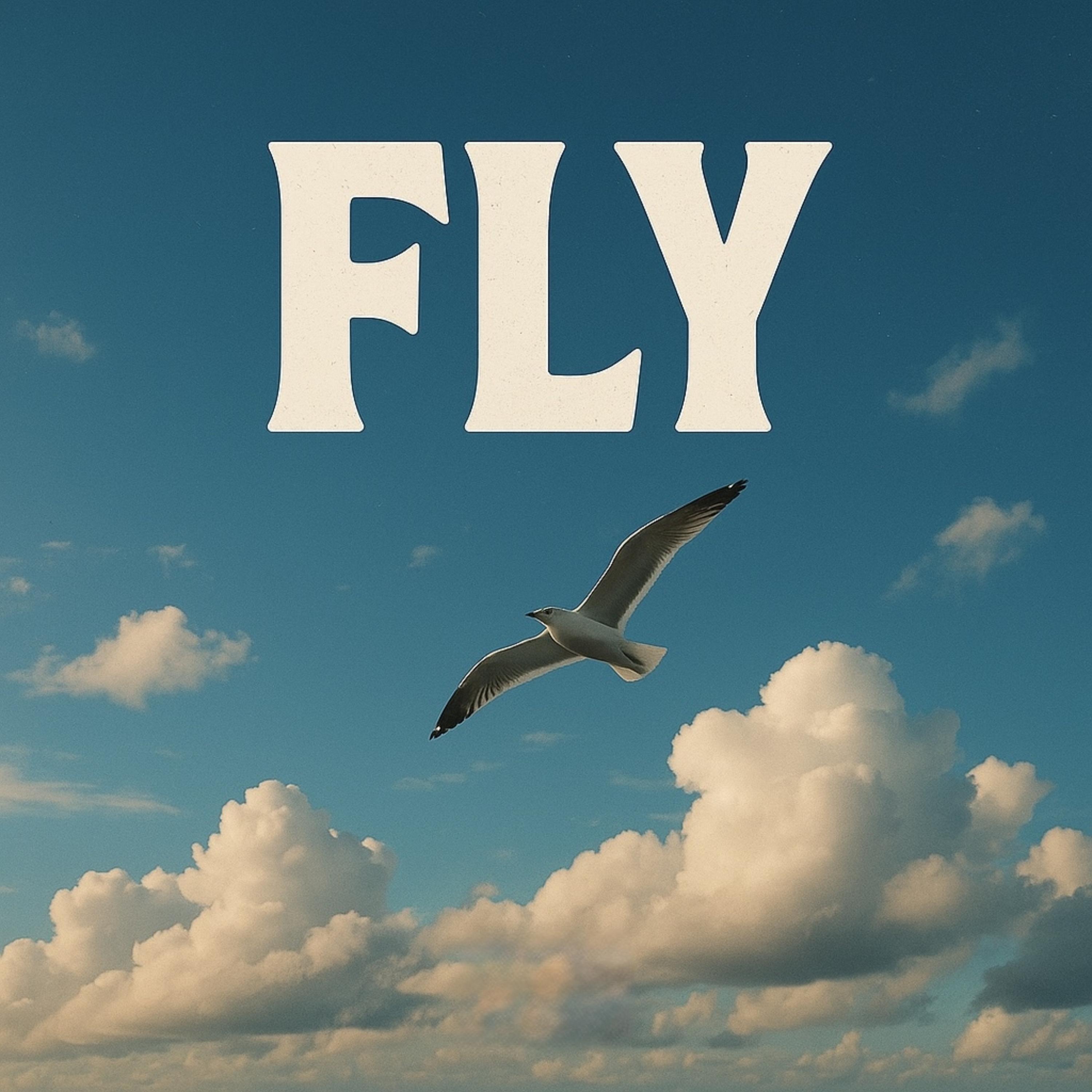 Fly artwork