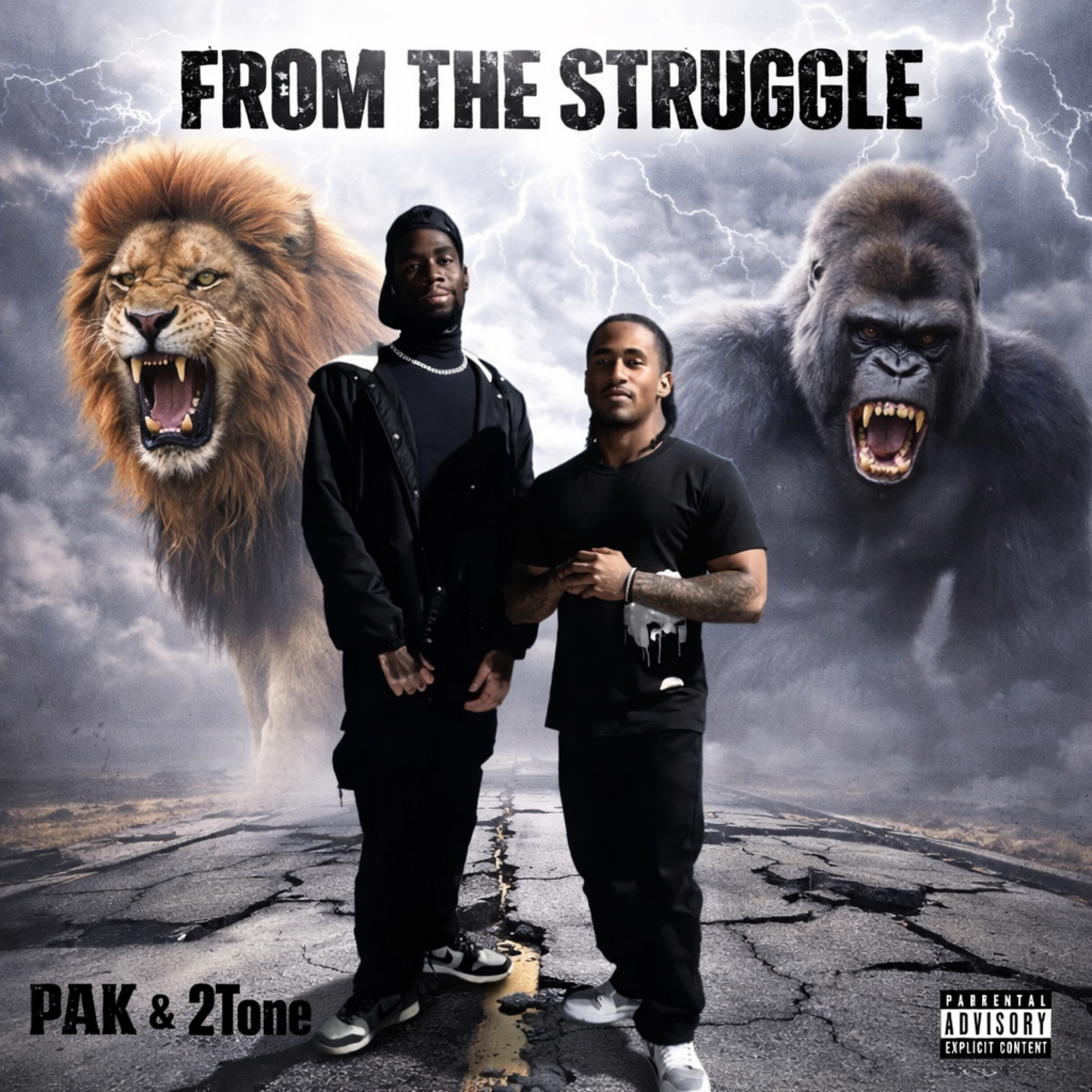 From The Struggle artwork