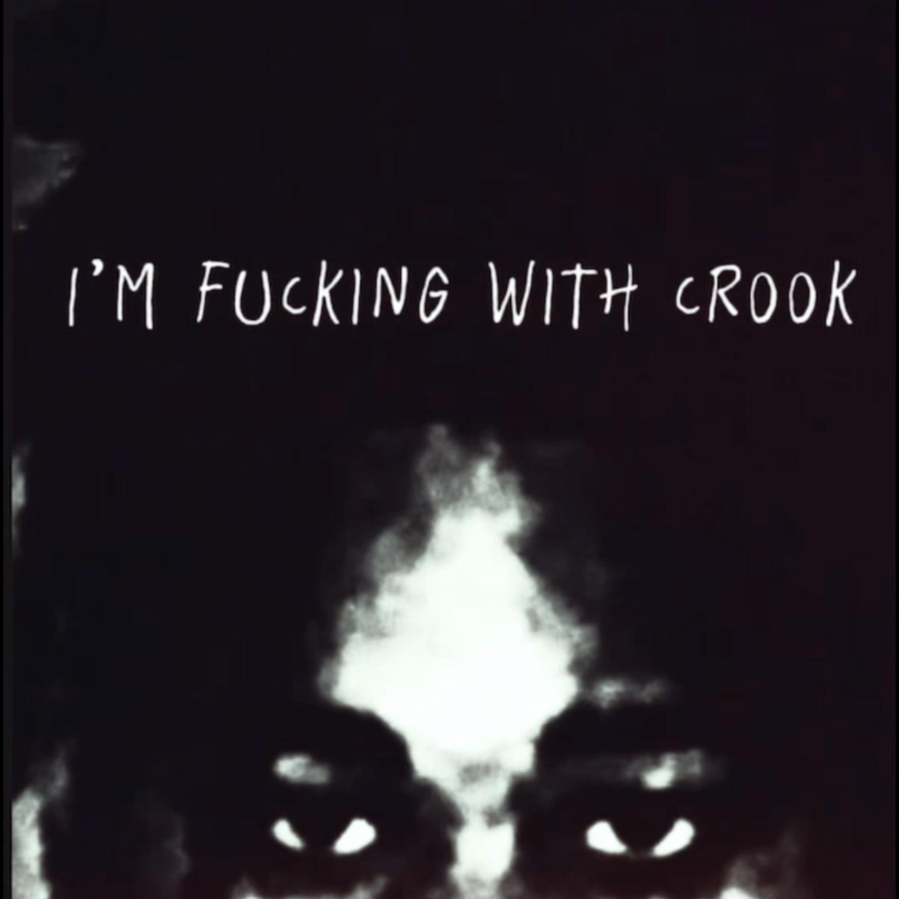 I’m Fucking With Crook artwork