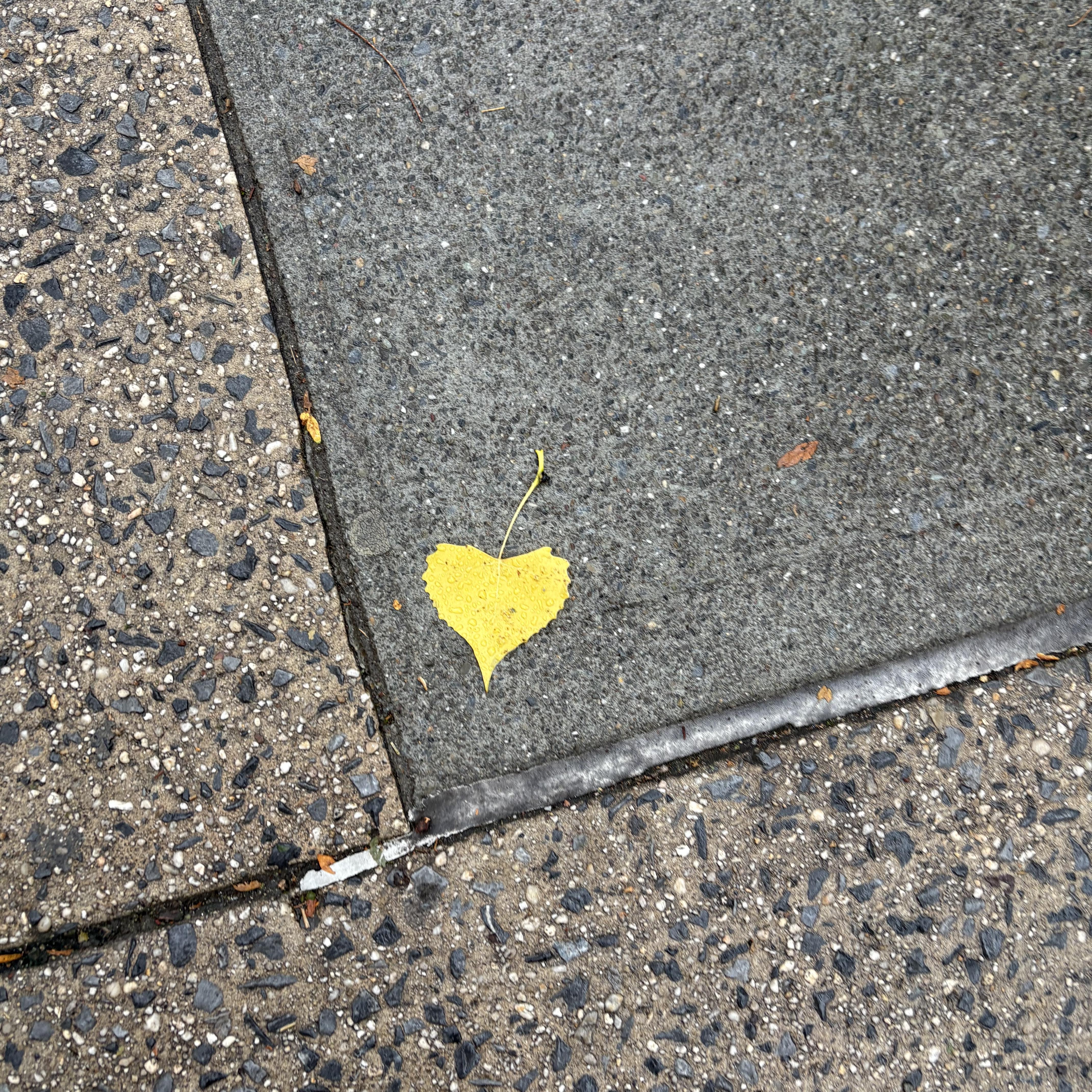 Fairytale Love artwork