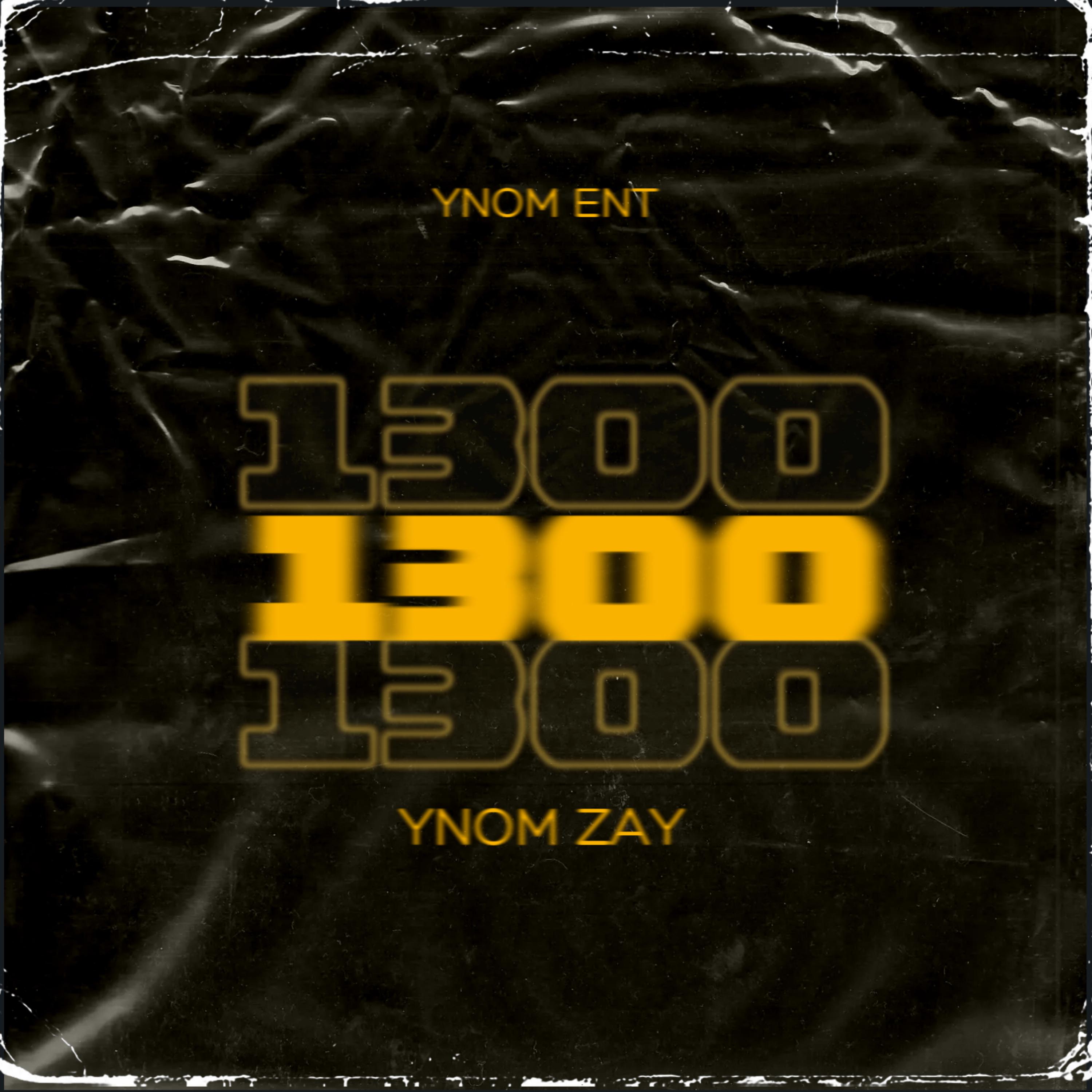 1300 by YNOM Zay cover art