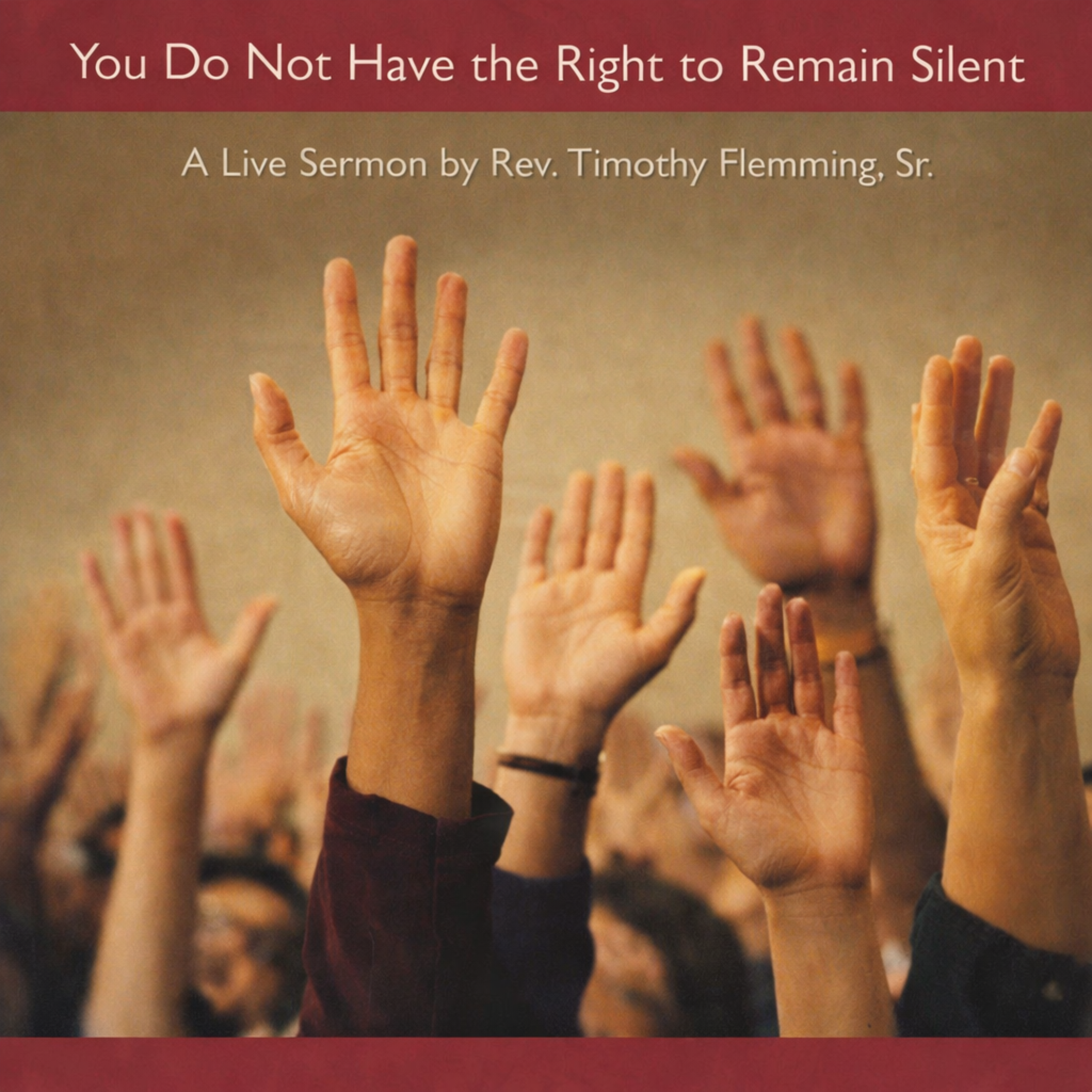 You Do Not Have The Right Ro Remain Silent artwork