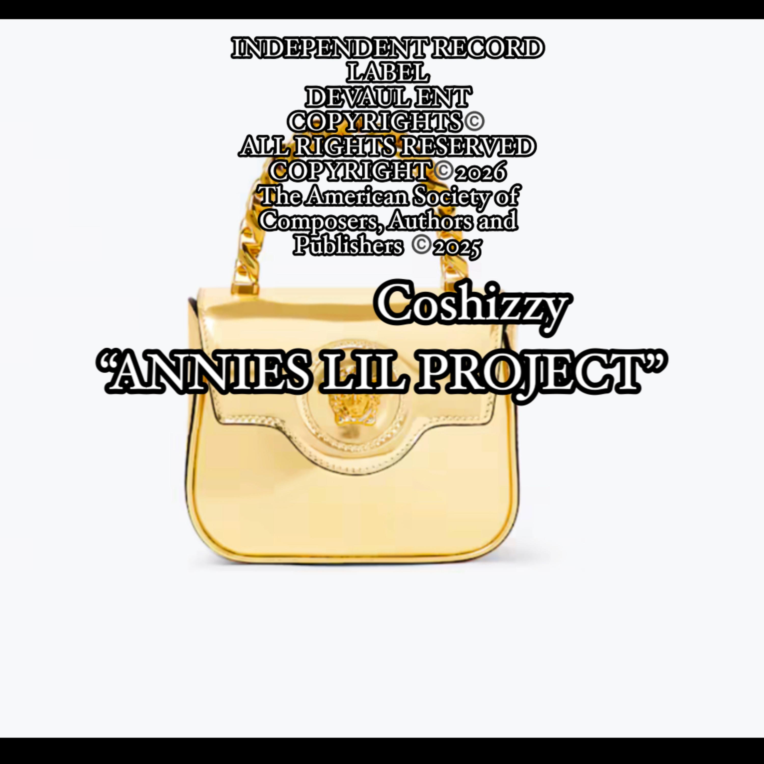 ANNIES LIL PROJECT artwork