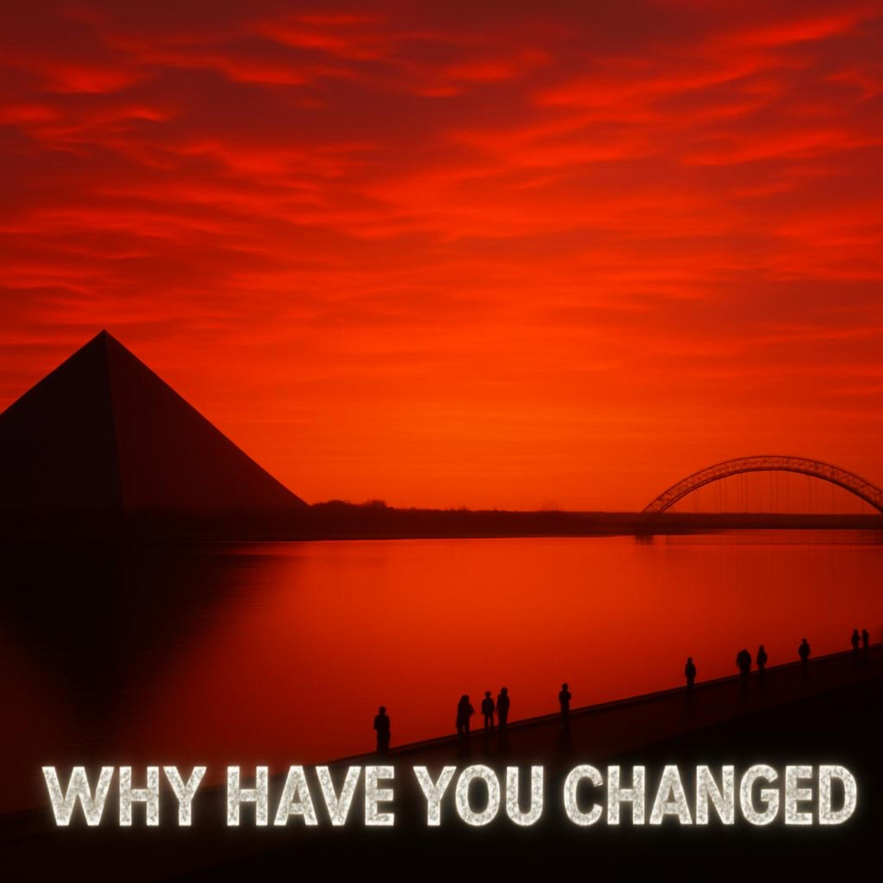 WHY HAVE YOU CHANGED by OGDuke cover art