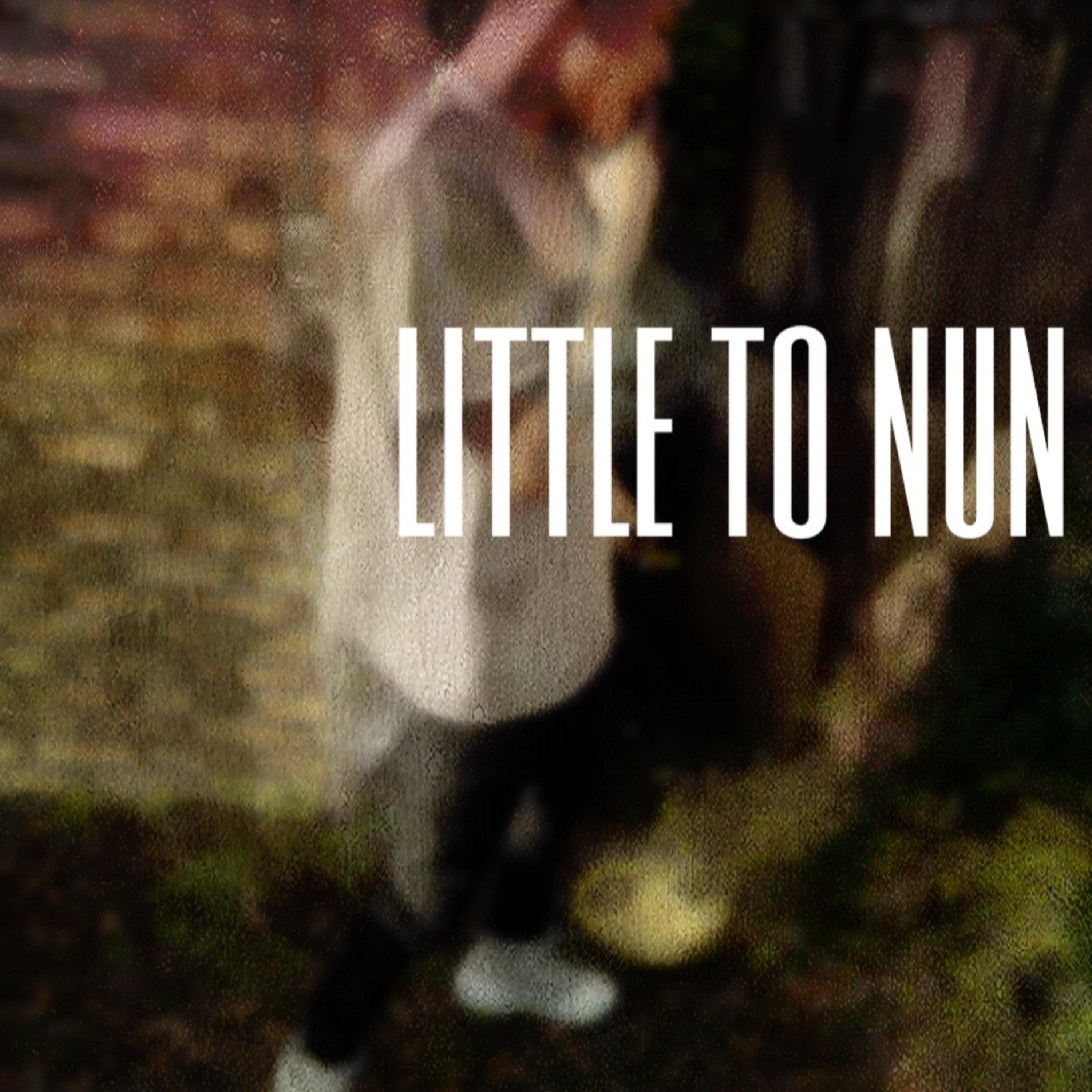 Little To Nun artwork