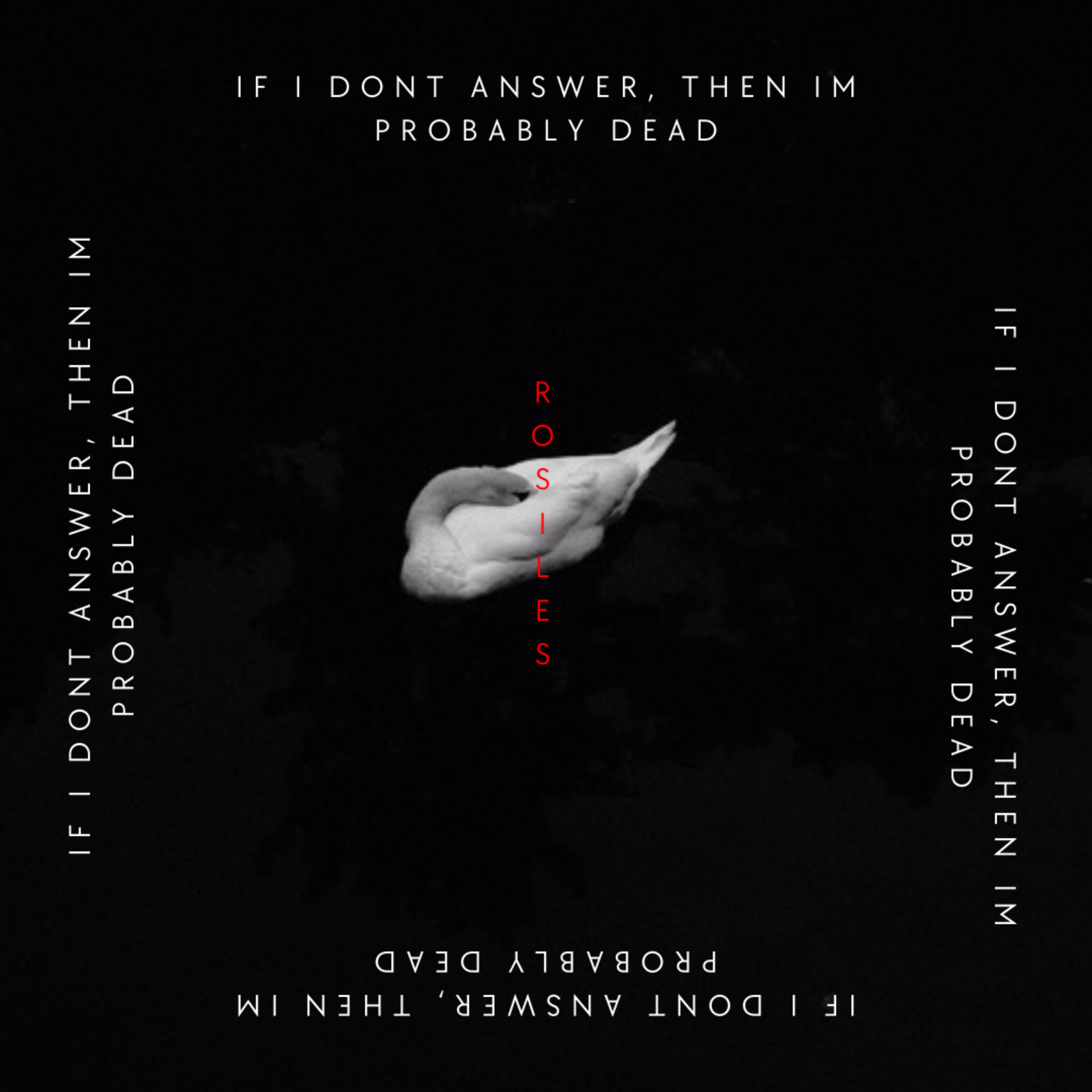 if i don’t answer, then im probably dead. artwork