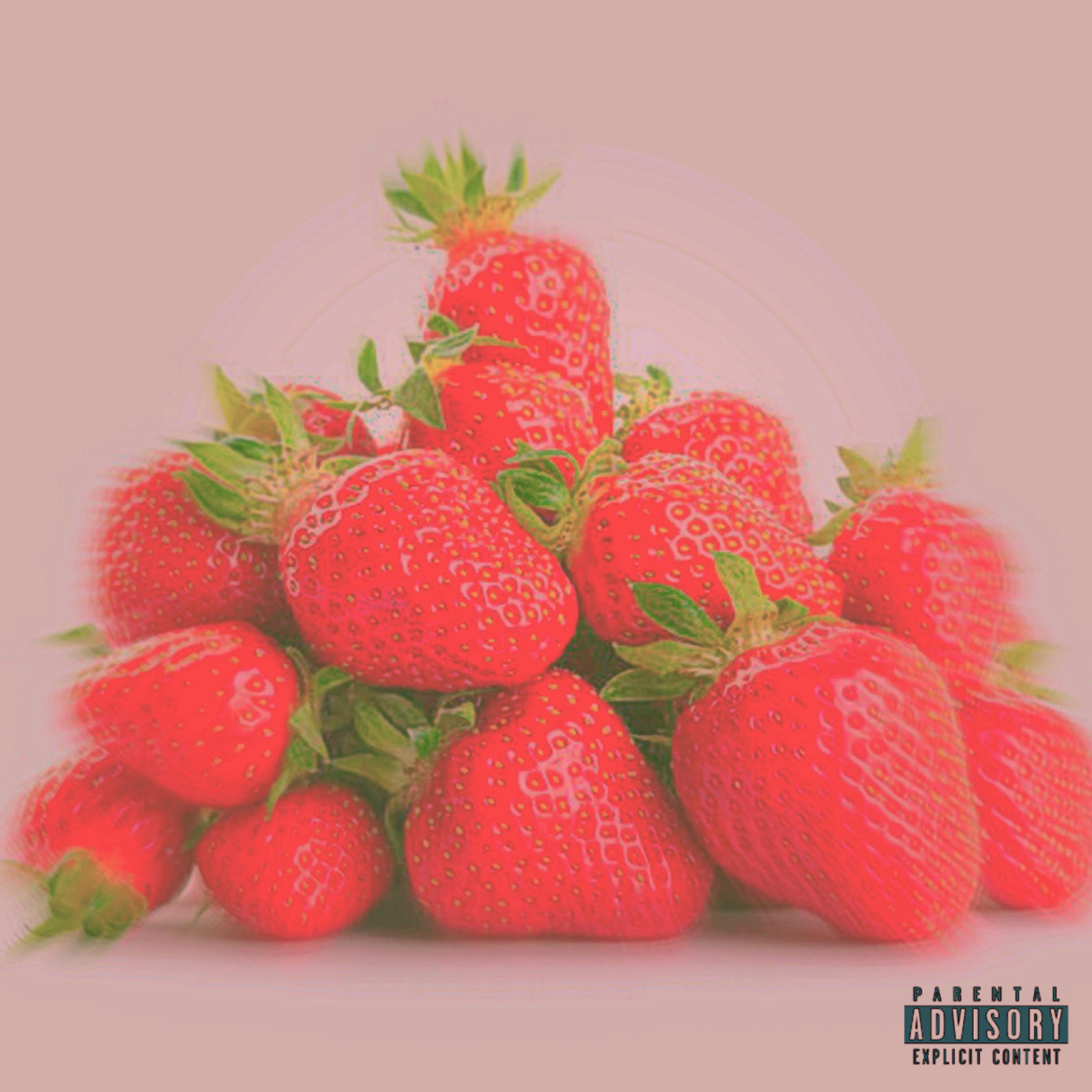 Strawberry Terps artwork