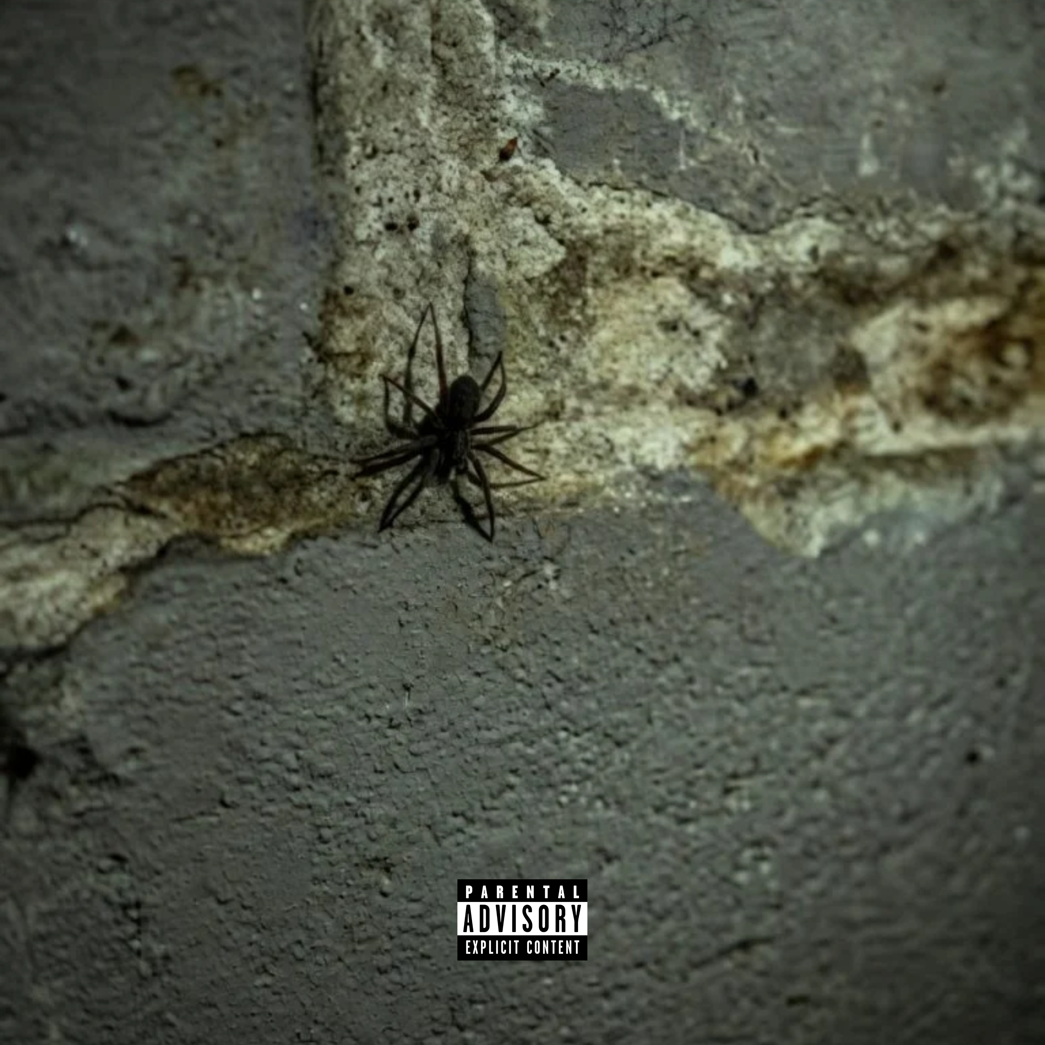 iso by S!ns cover art