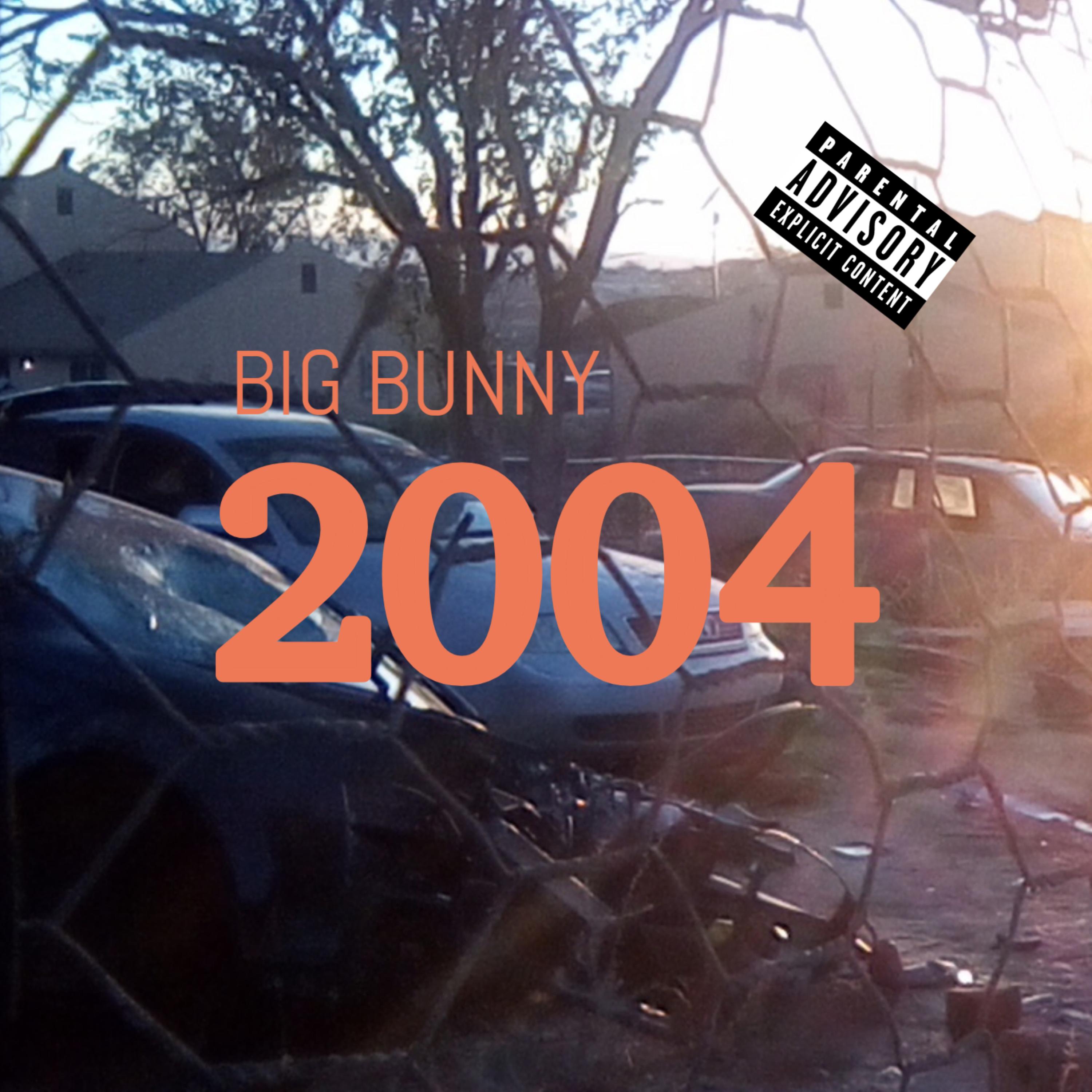 2004 artwork