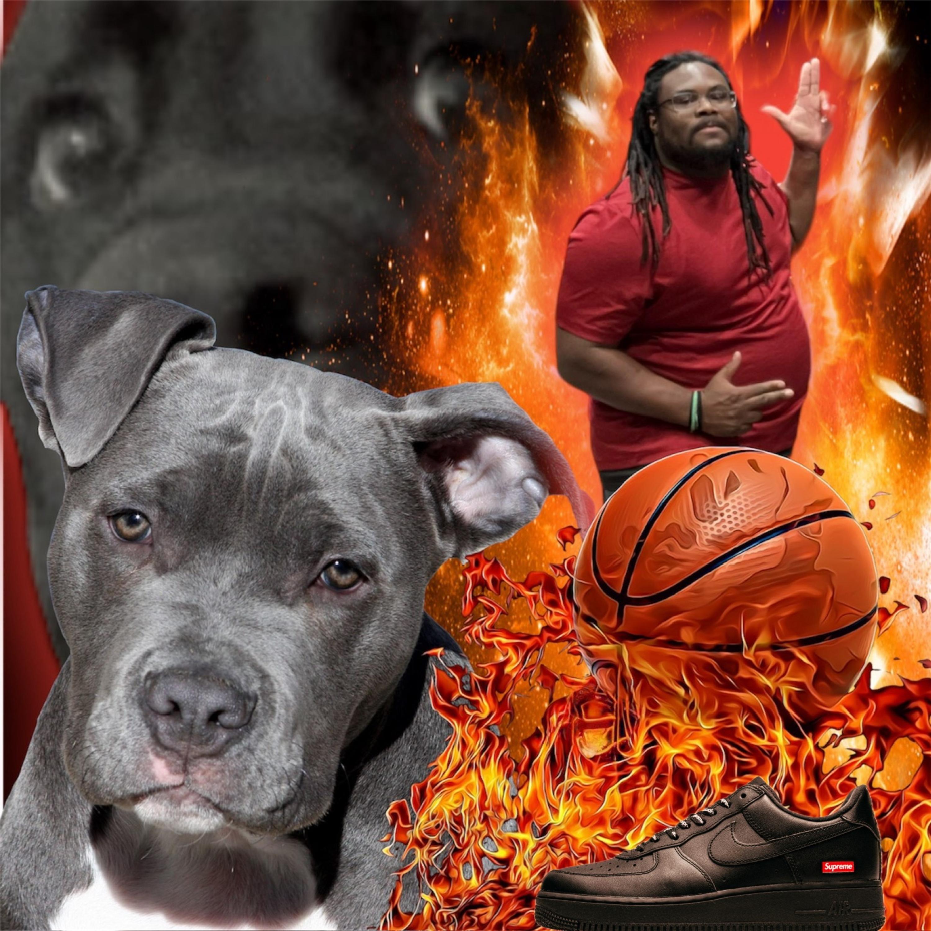 MAD DOG AIRFORCE artwork