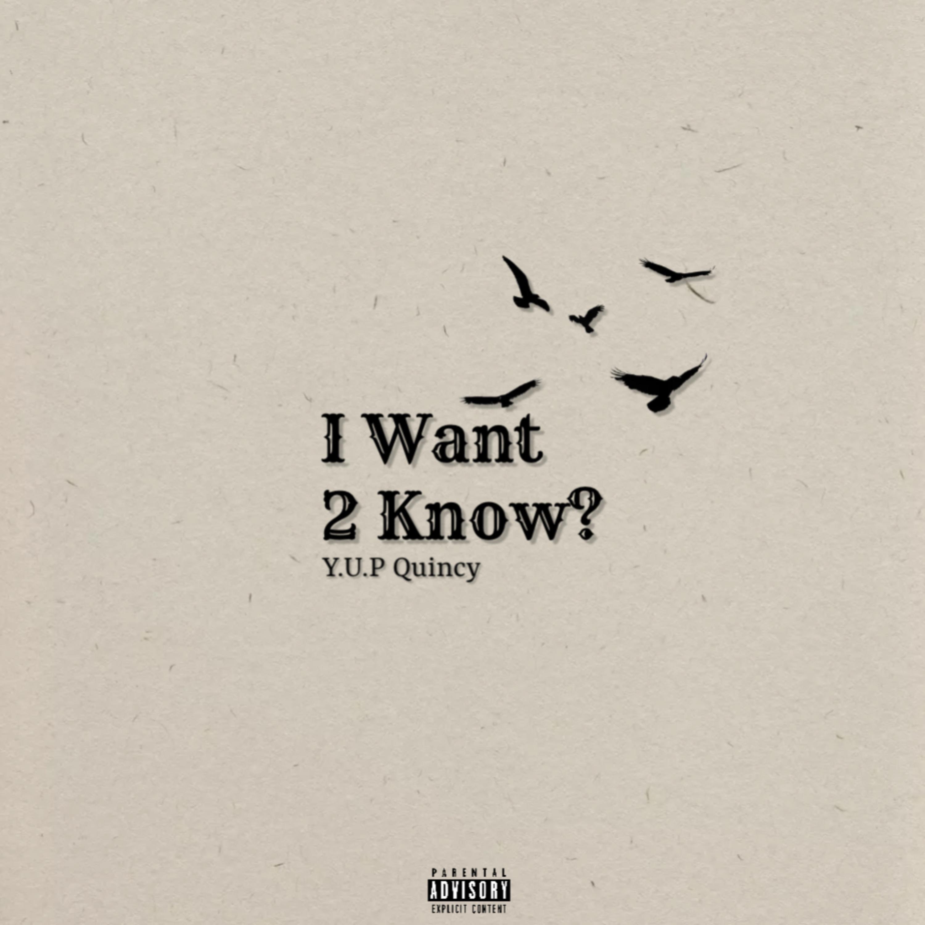 I Want 2 Know? artwork