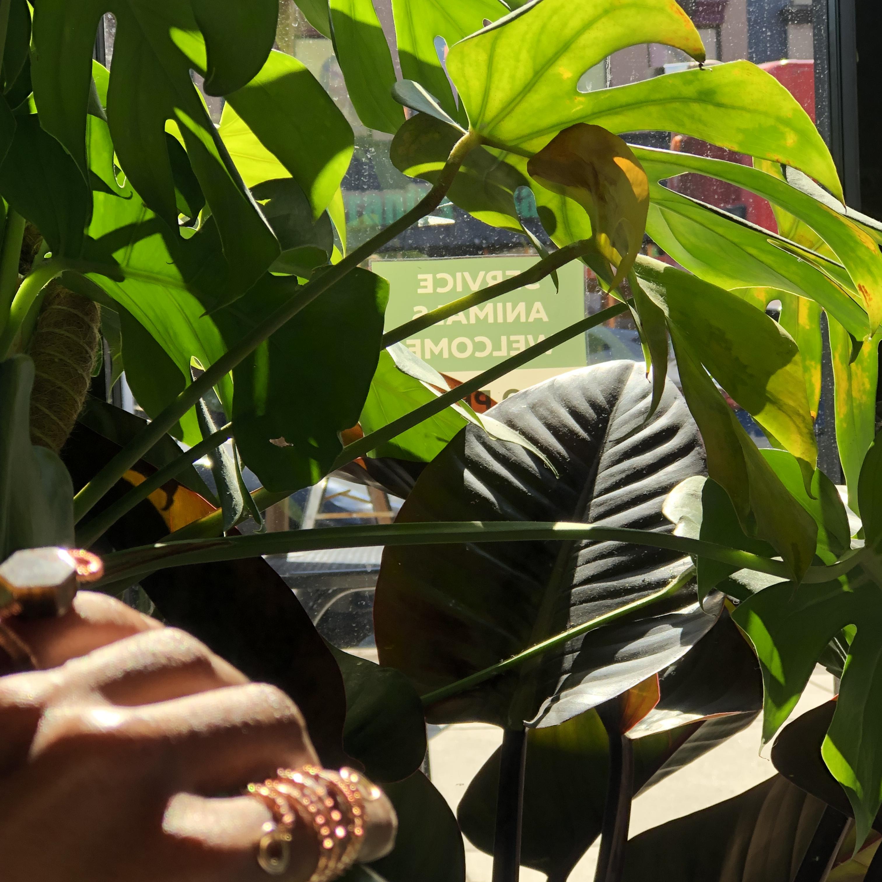 ReGround Mantra artwork