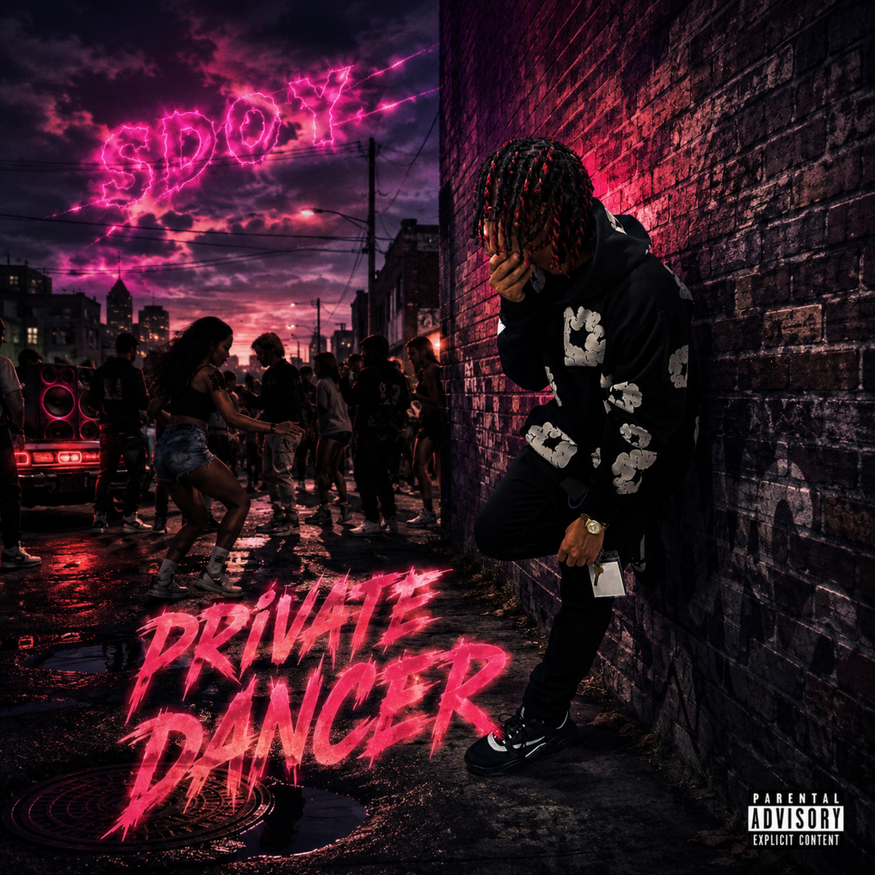 Private Dancer by SDOYMarvo cover art