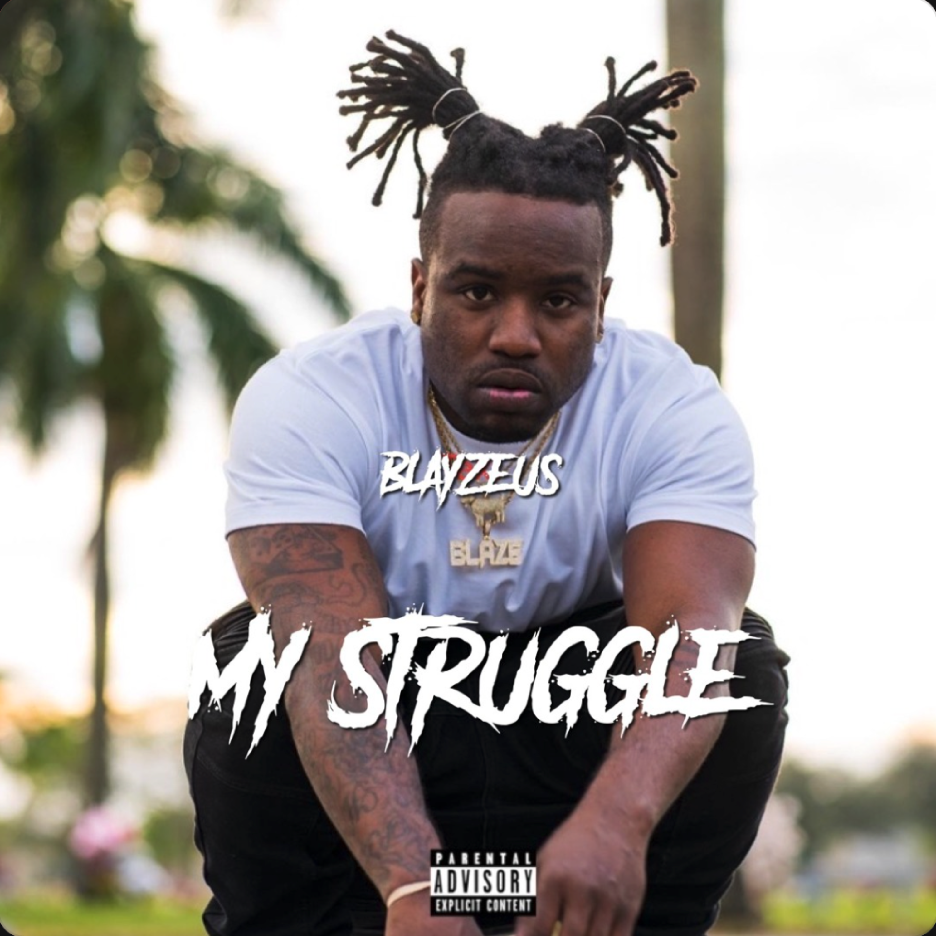 My Struggle by Blayzeus cover art