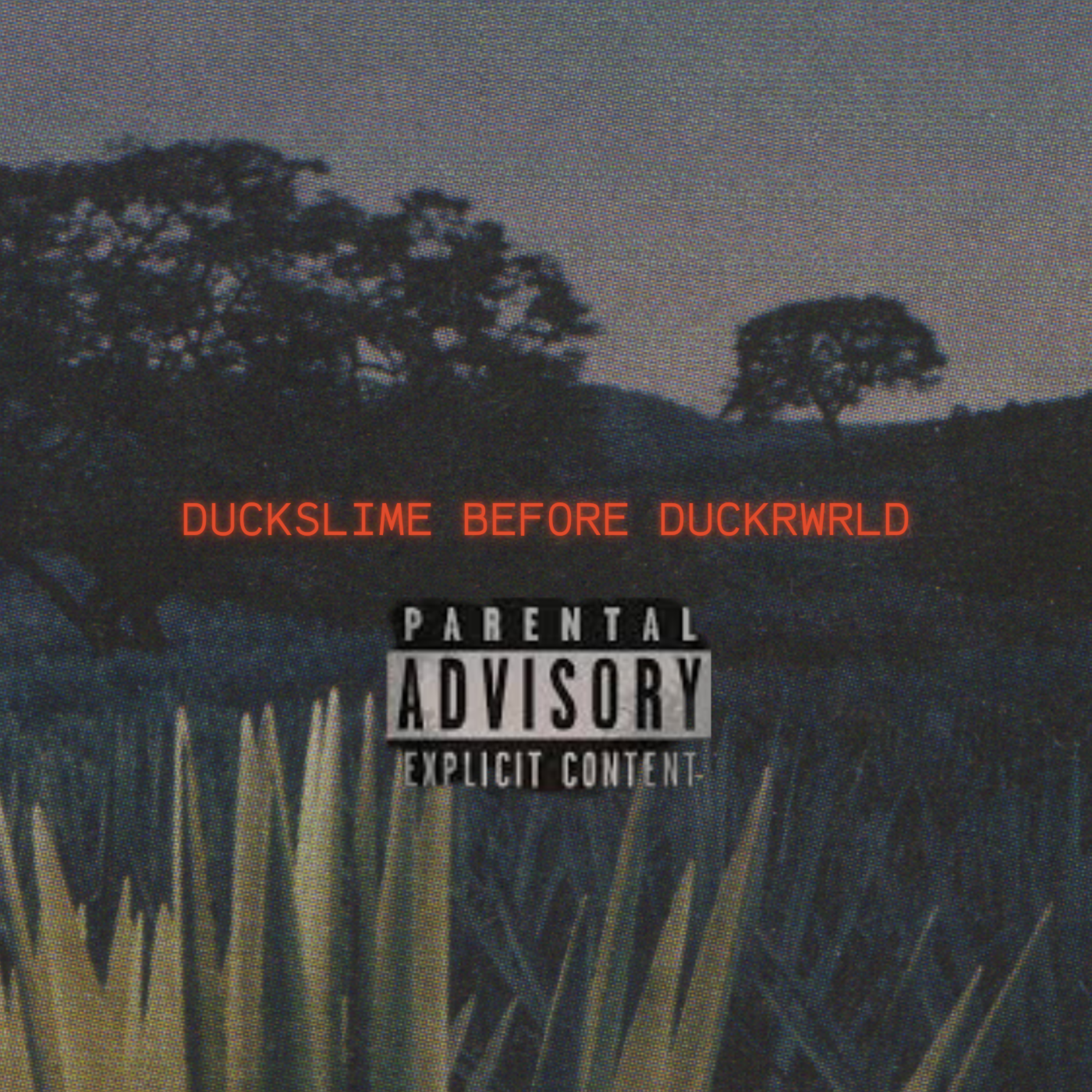 DUCKSLIME BEFORE DUCKWRLD by 772_DuckWrld cover art