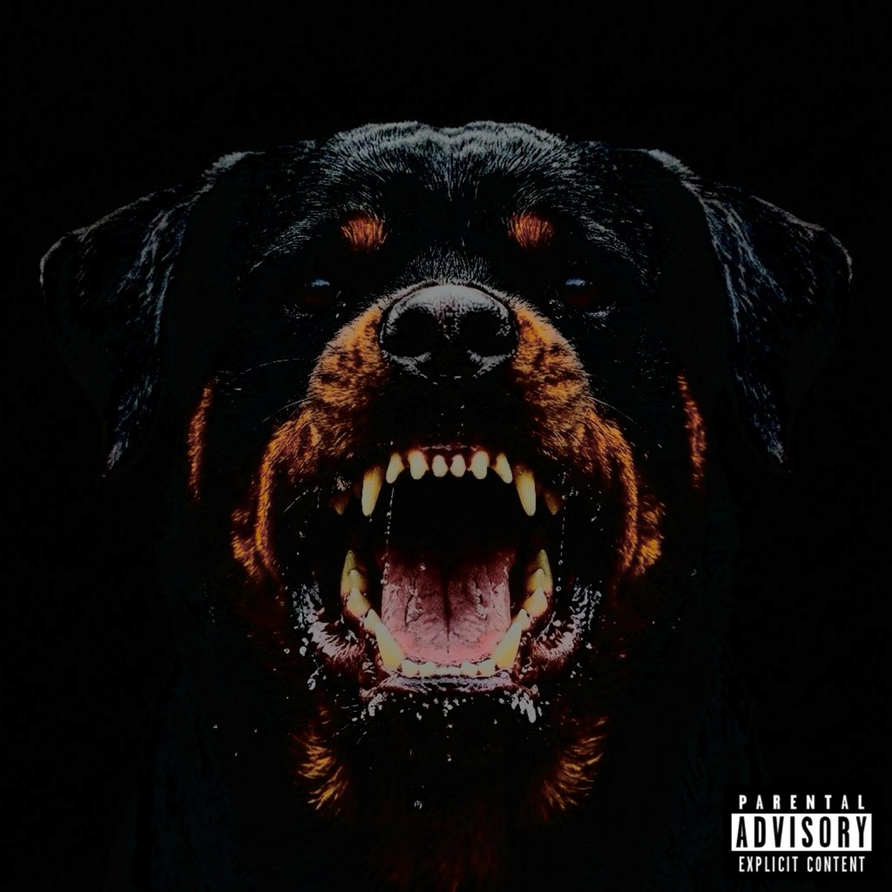 Big Dogs by Lil K cover art