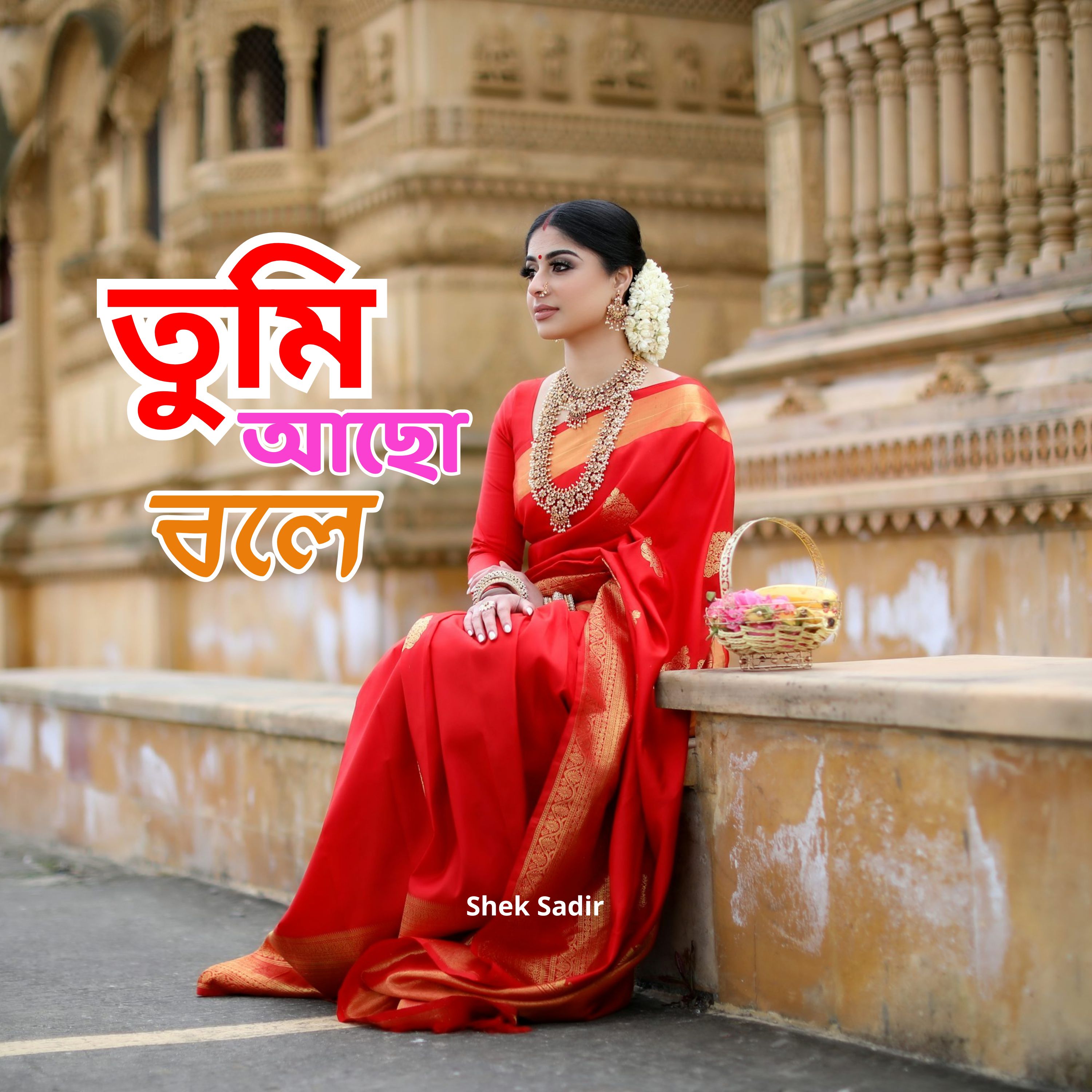 তুমি আছো বলে artwork