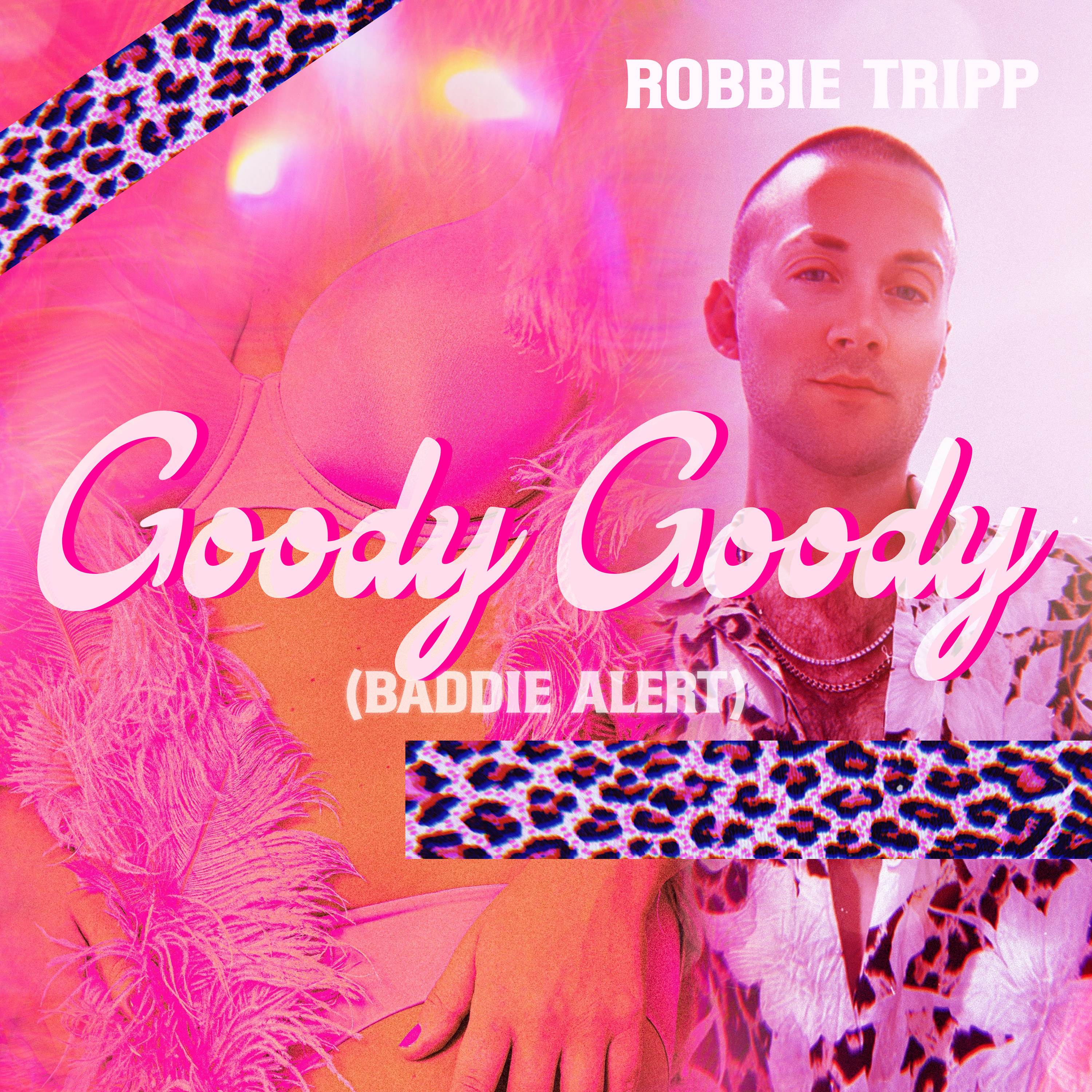 GOODY GOODY (BADDIE ALERT) artwork