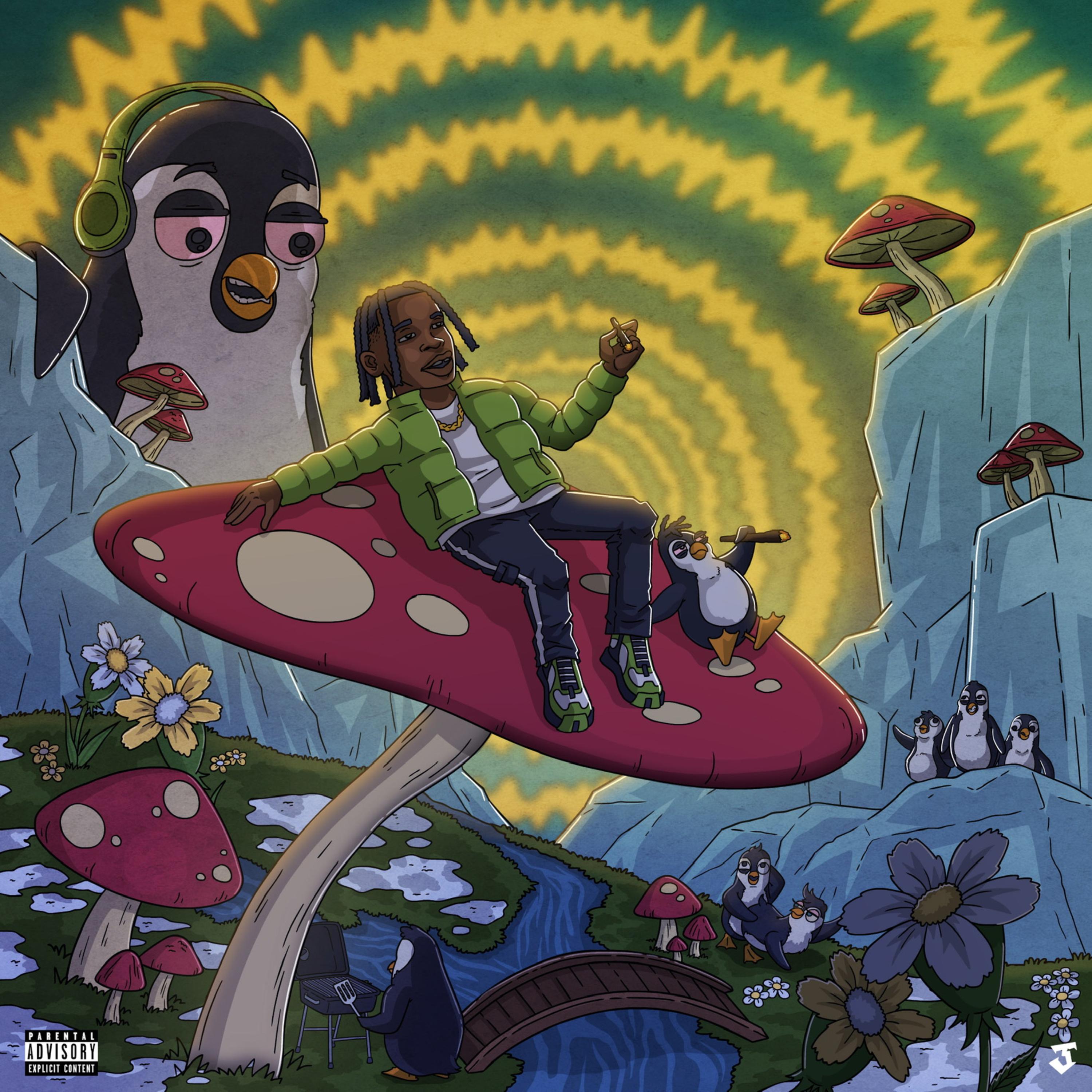 Shroom Musik artwork