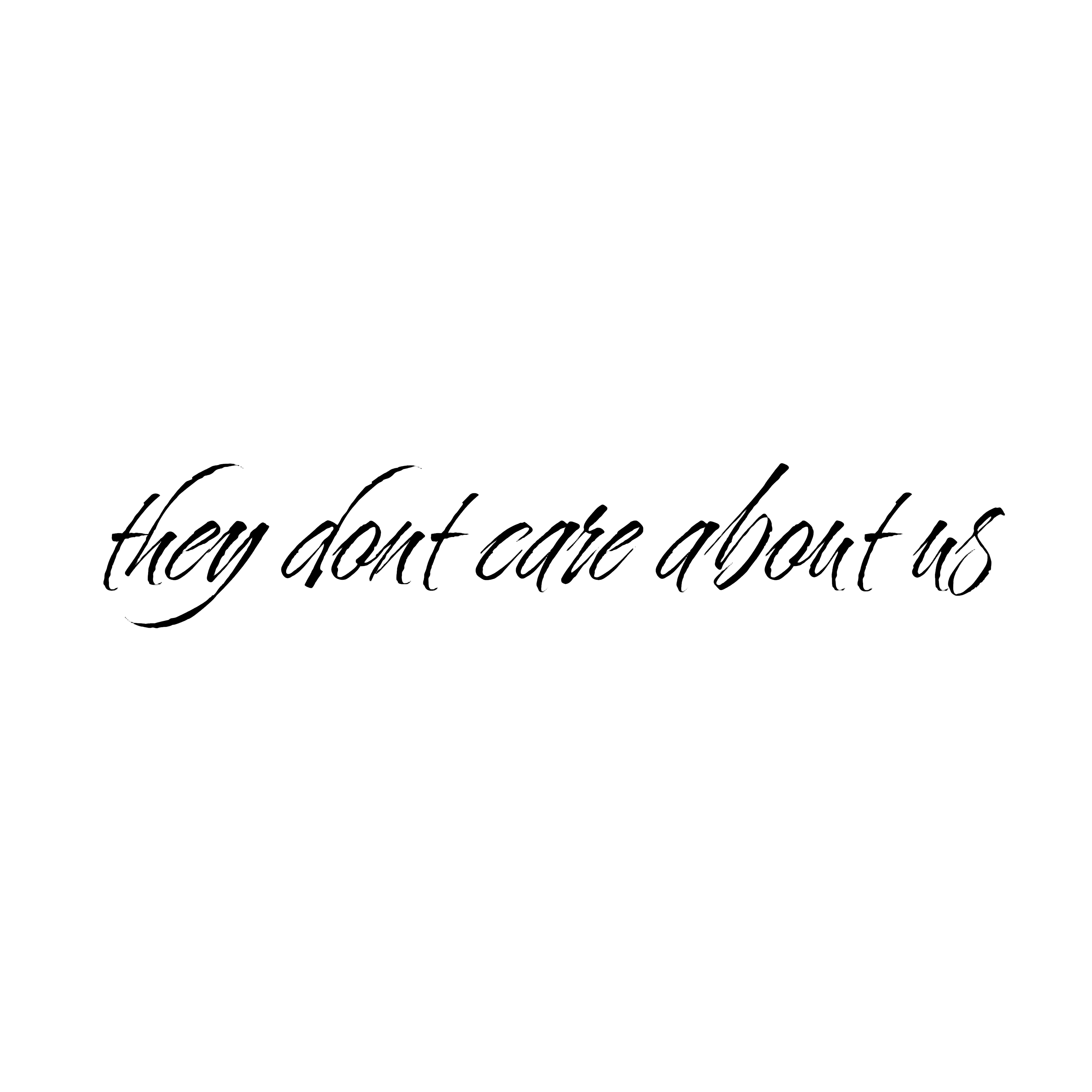 They Don't Care About Us artwork