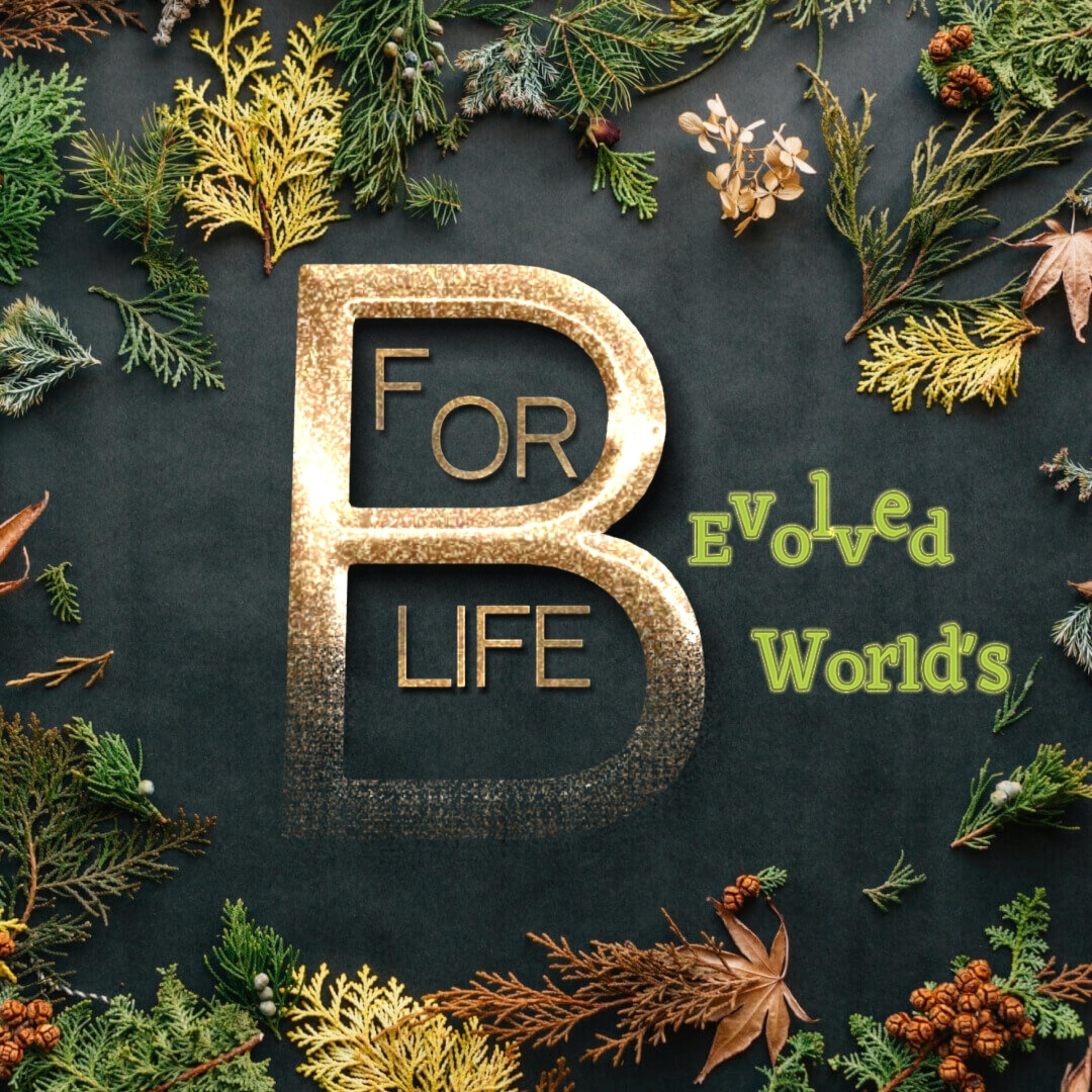 B For Life artwork