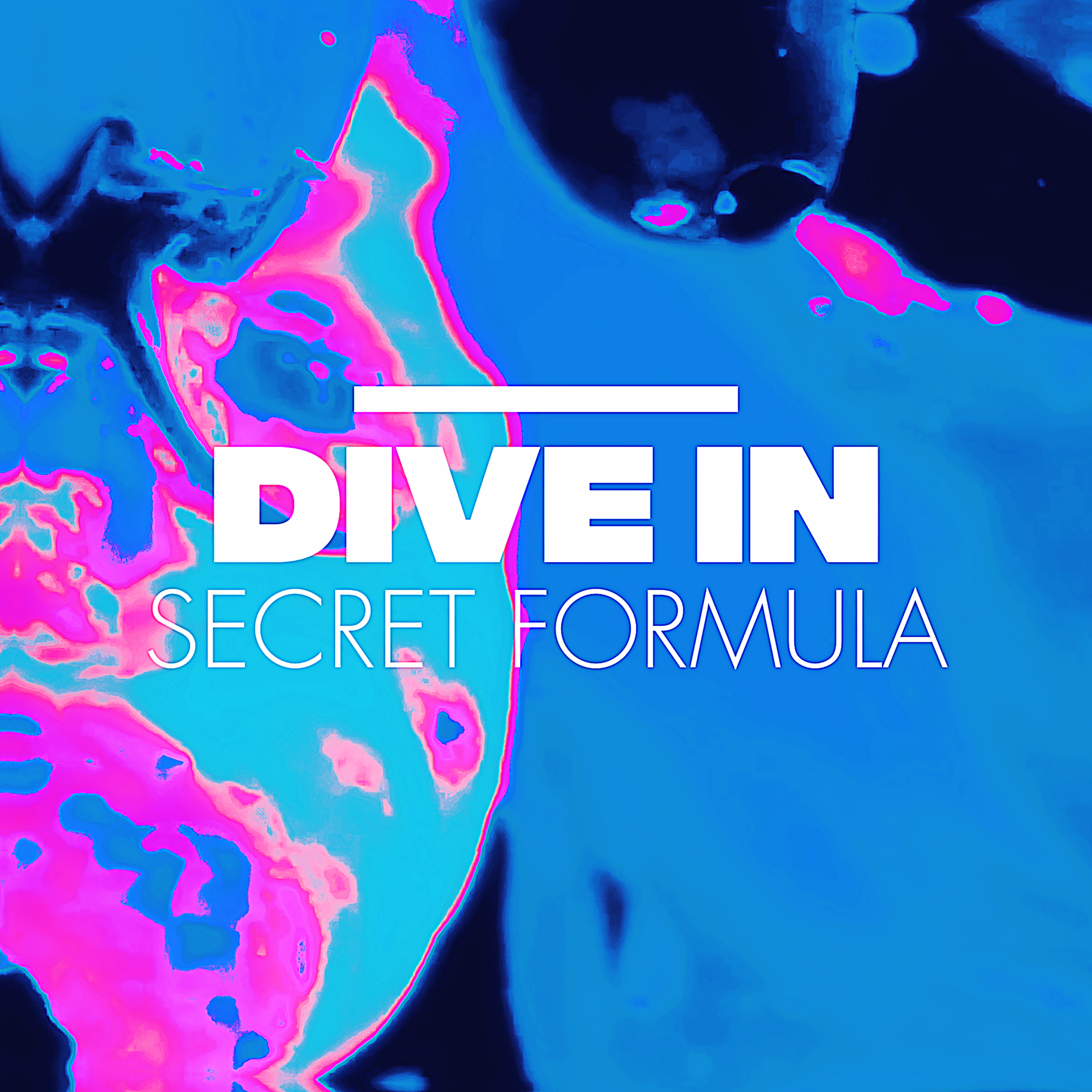 Dive In by Secret Formula cover art