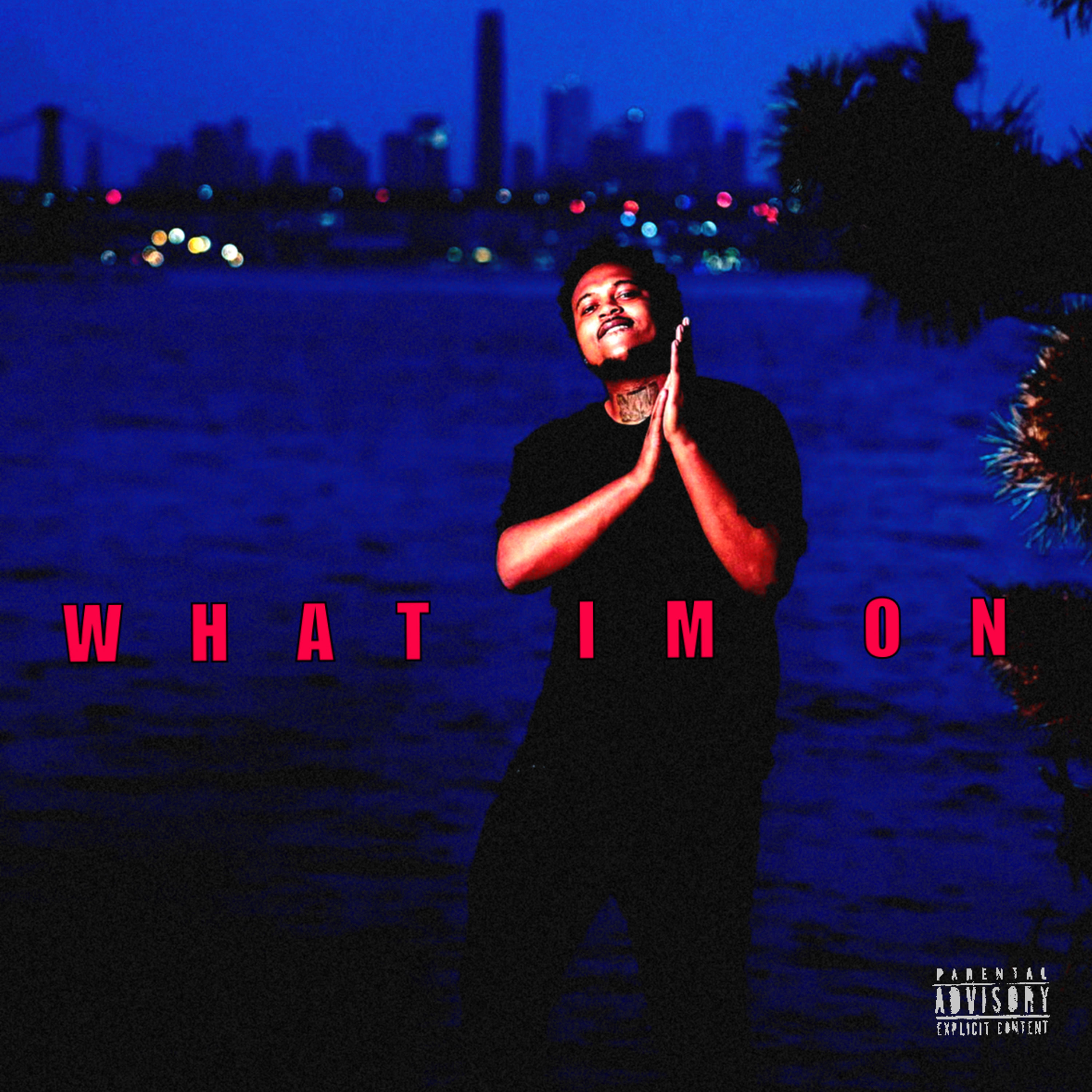 WHAT IM ON artwork