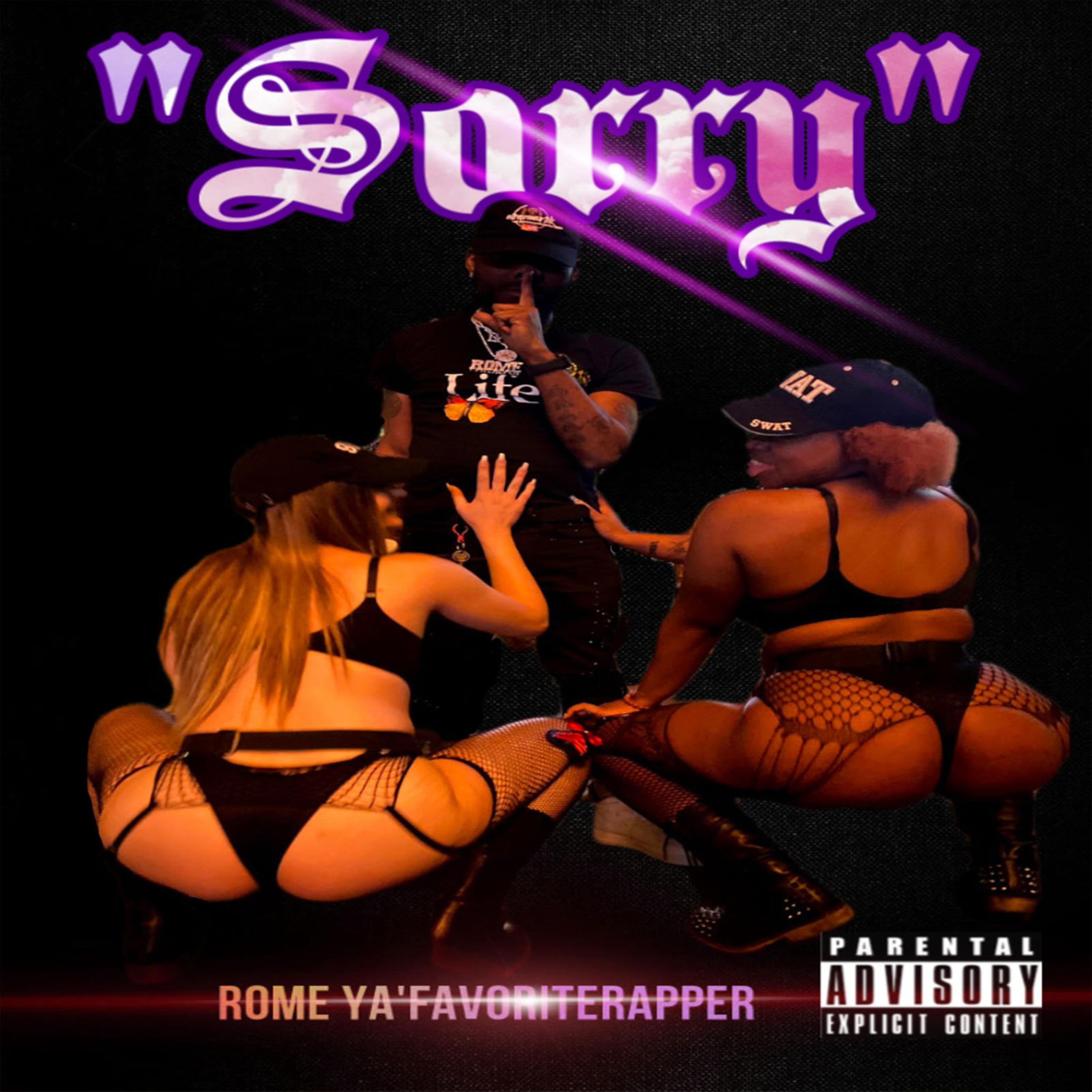 Sorry artwork