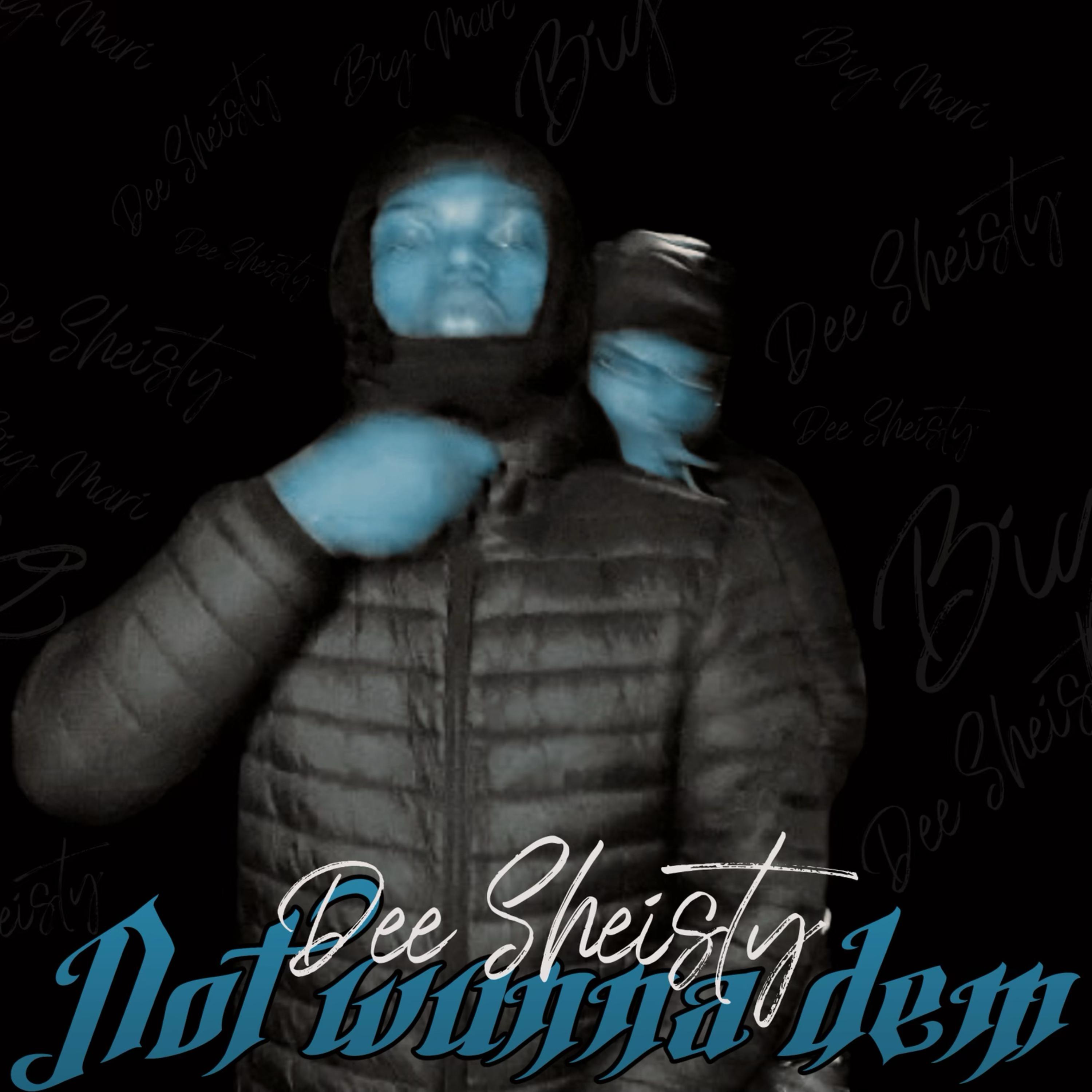 Not Wunna Dem ! artwork