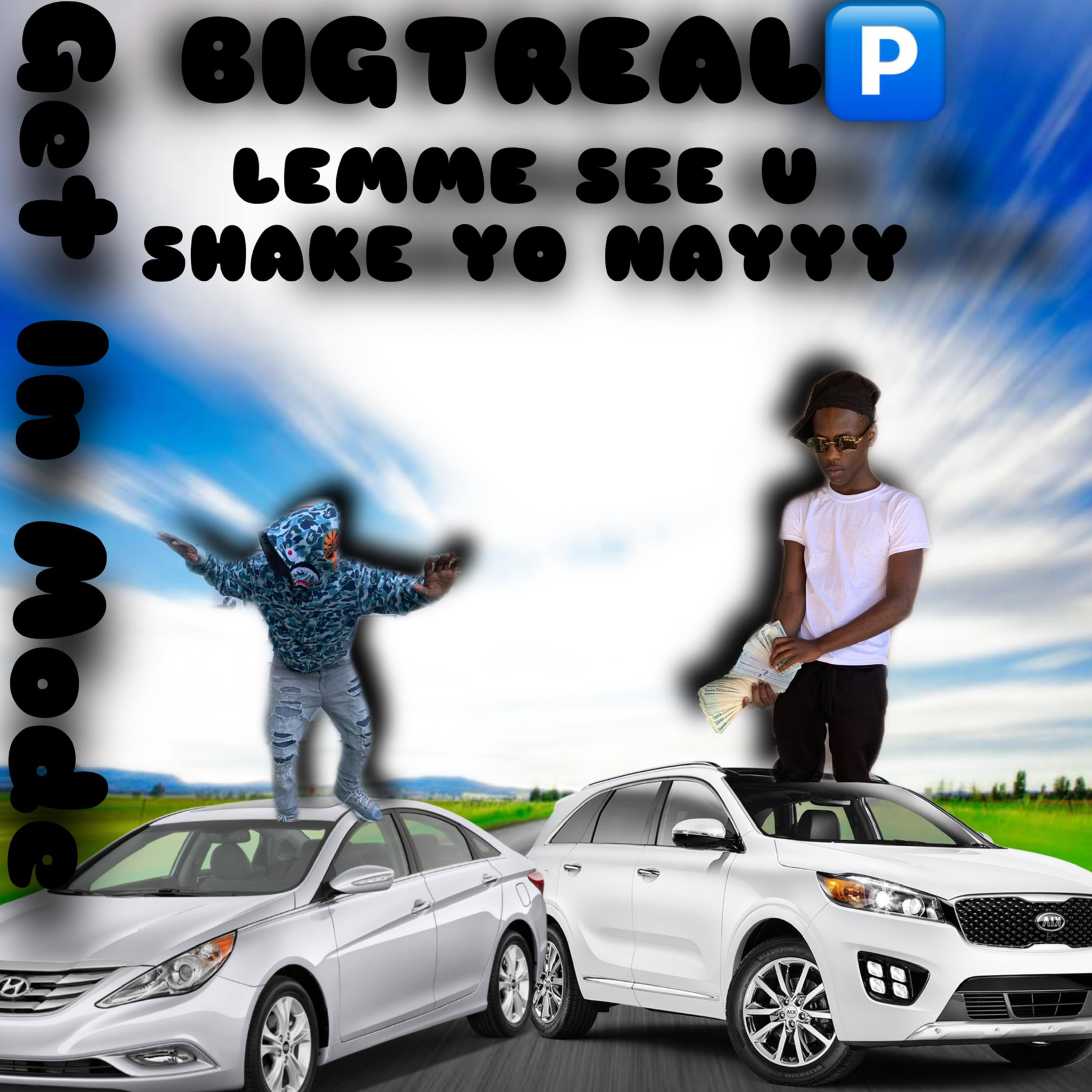 Lemme See u Shake yo nayy artwork