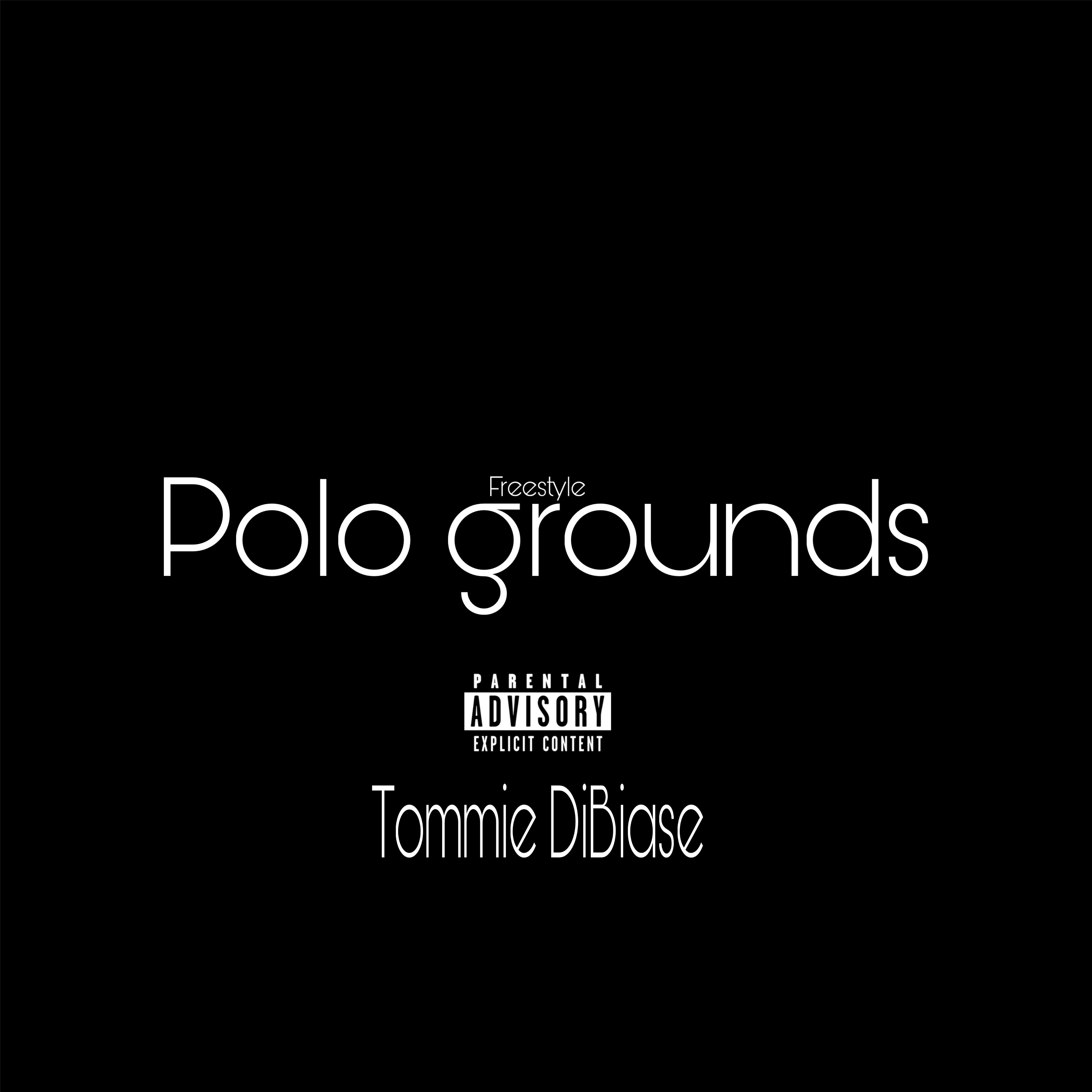 Polo Grounds artwork