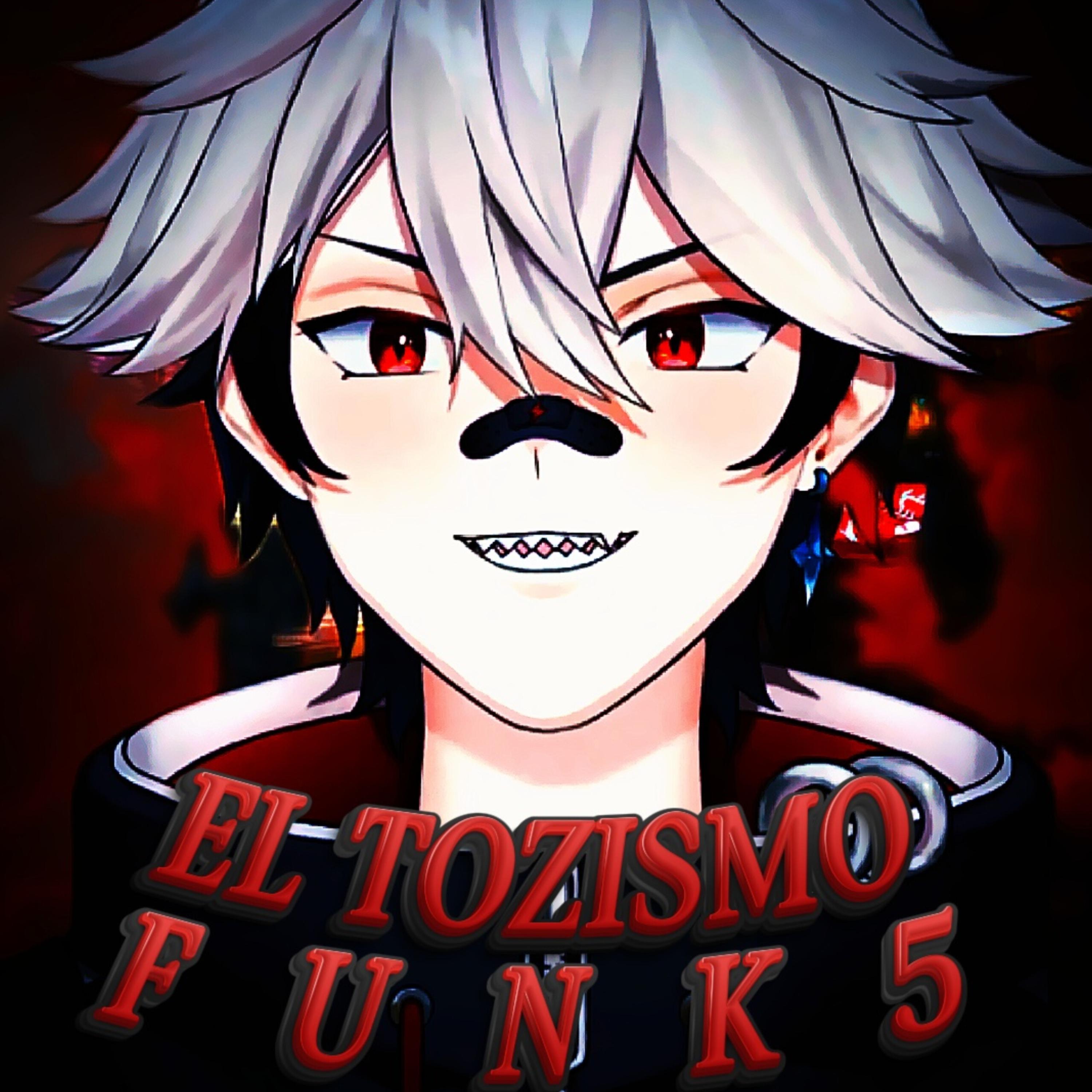 EL TOZISMO FUNK 5 artwork