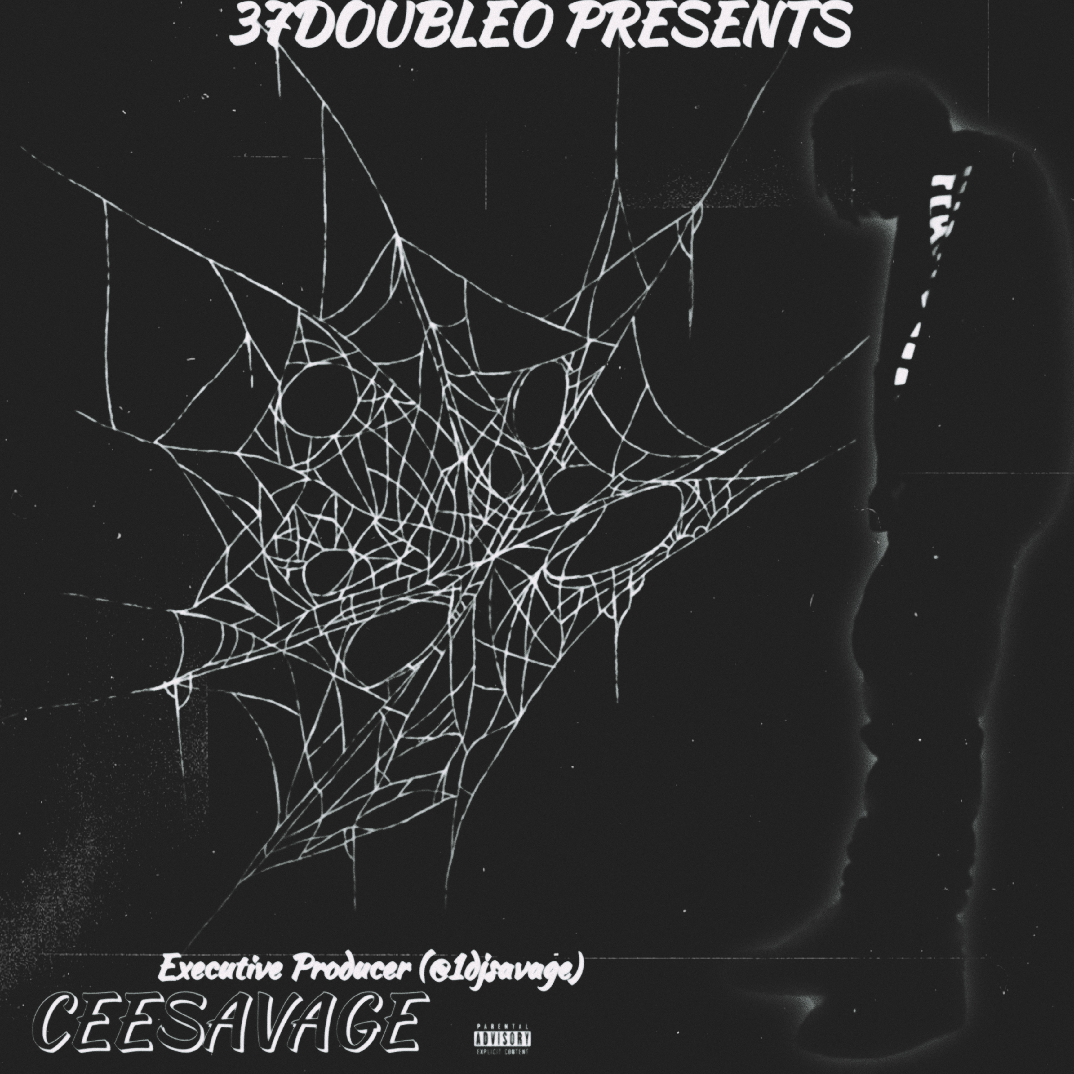CeeSavage artwork
