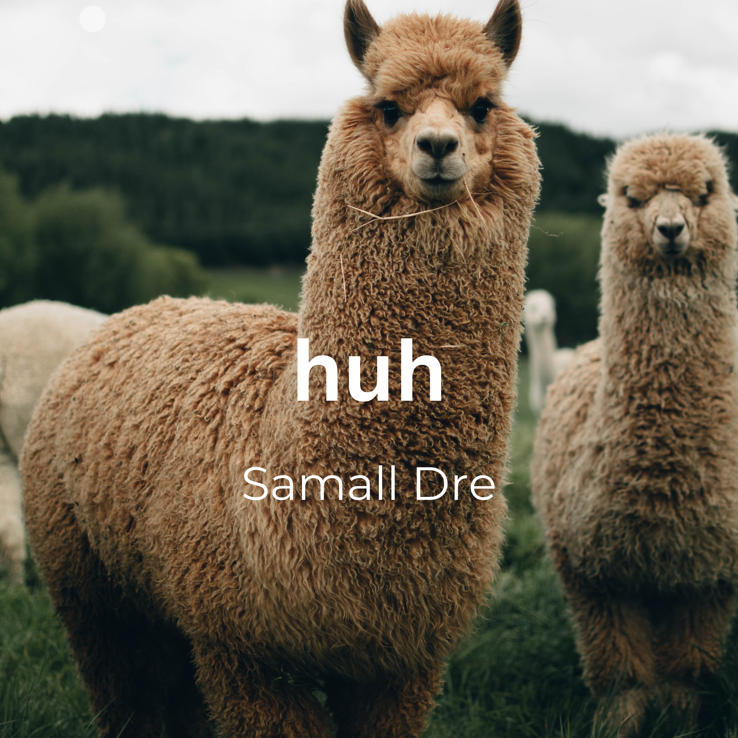 huh artwork