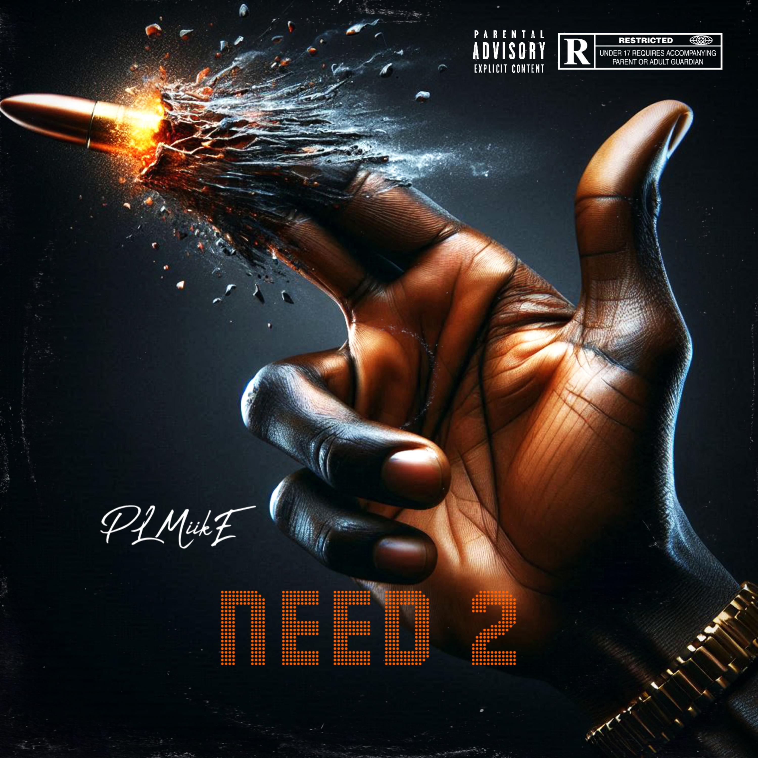 NEED 2 artwork