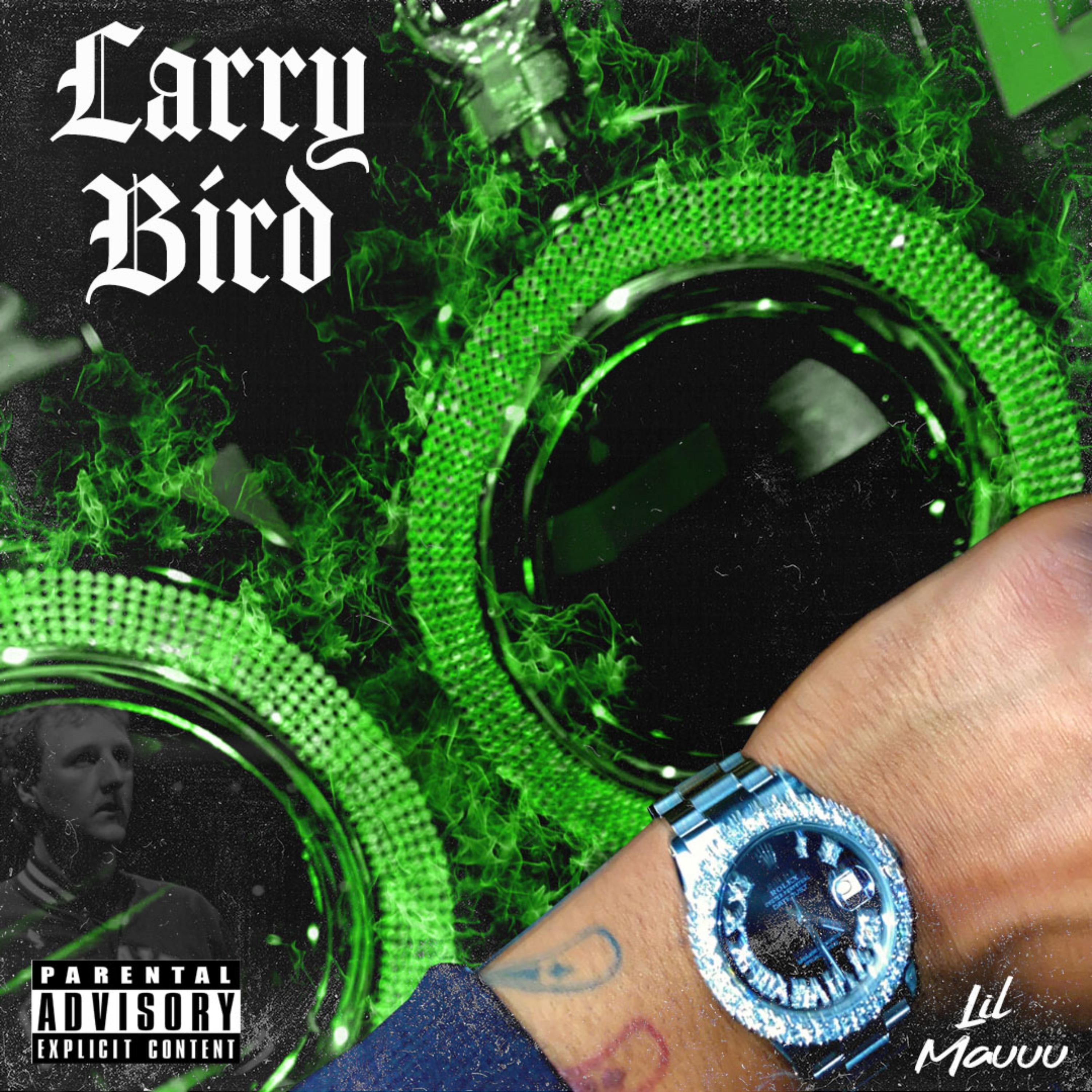 Larry Bird by Lilmauuu  cover art