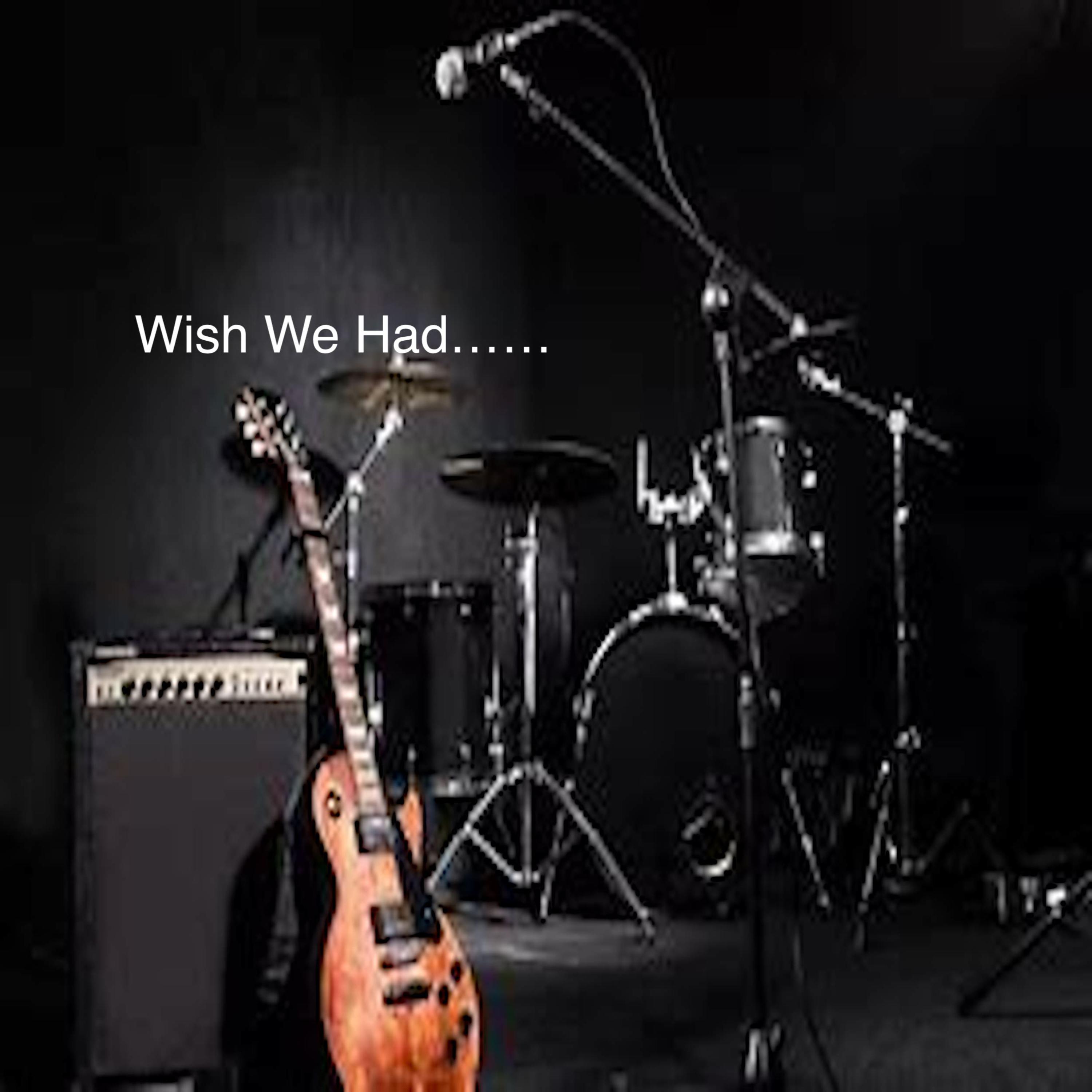 Wish we had it all artwork