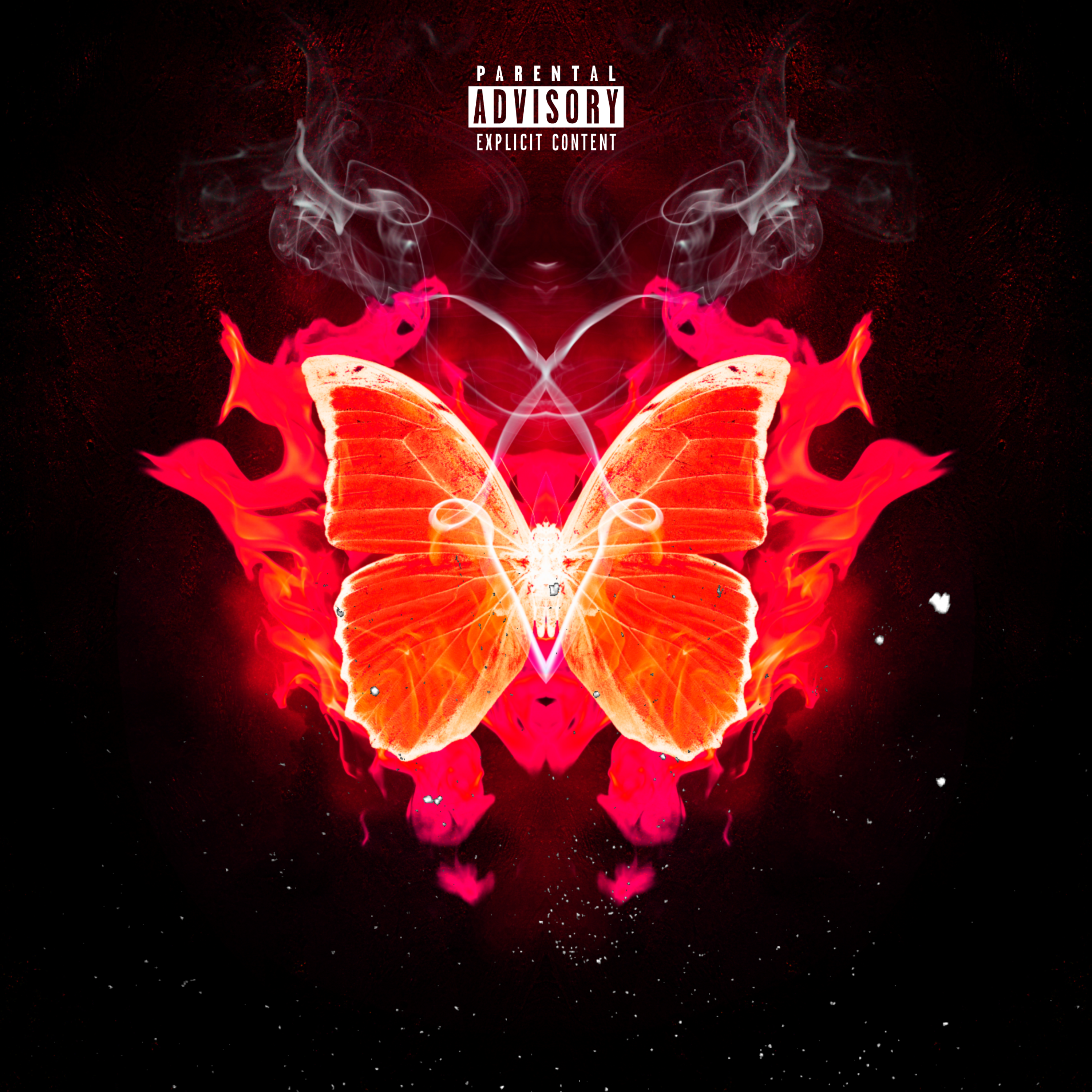 DIFFERENCES artwork