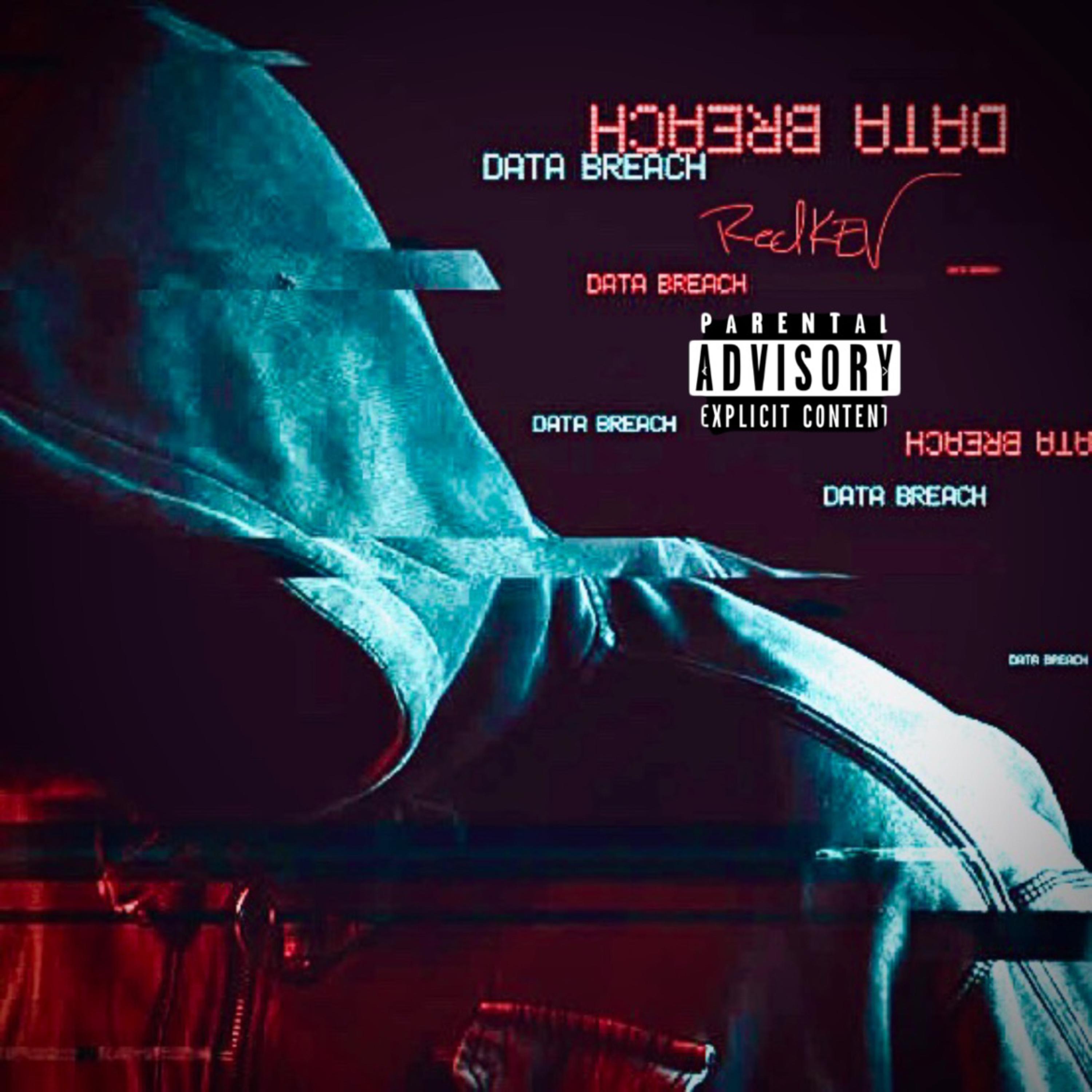 Data Breach artwork