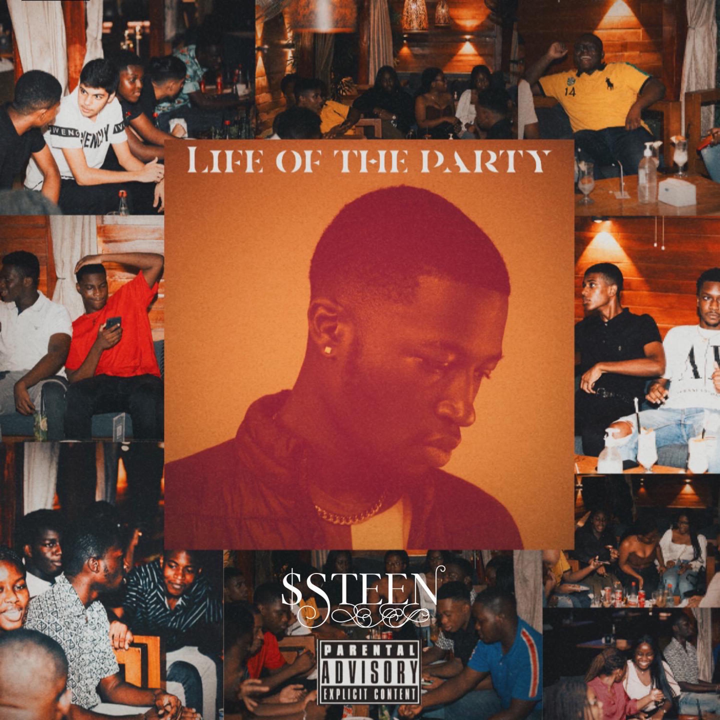 Life Of The Party artwork