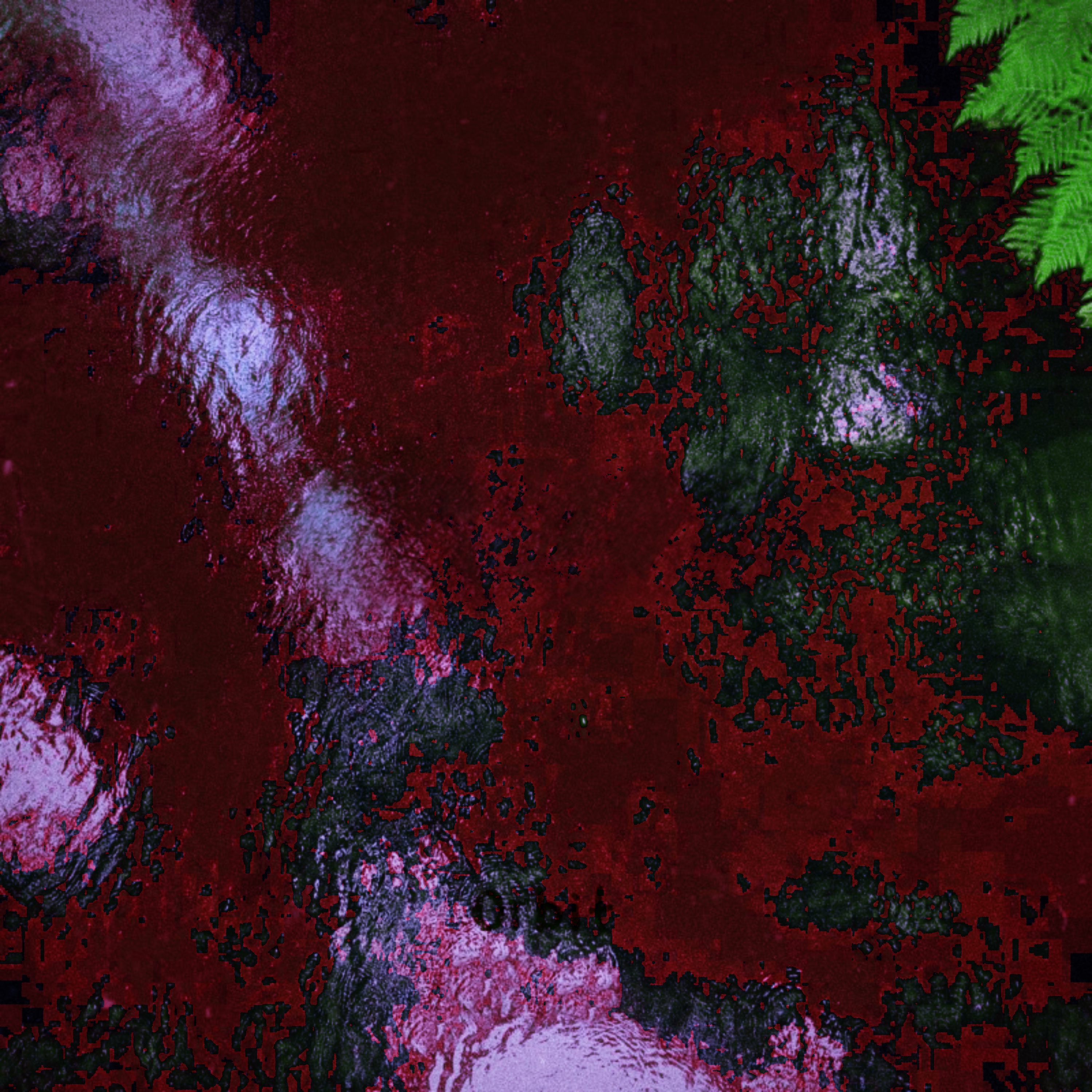Ortus artwork