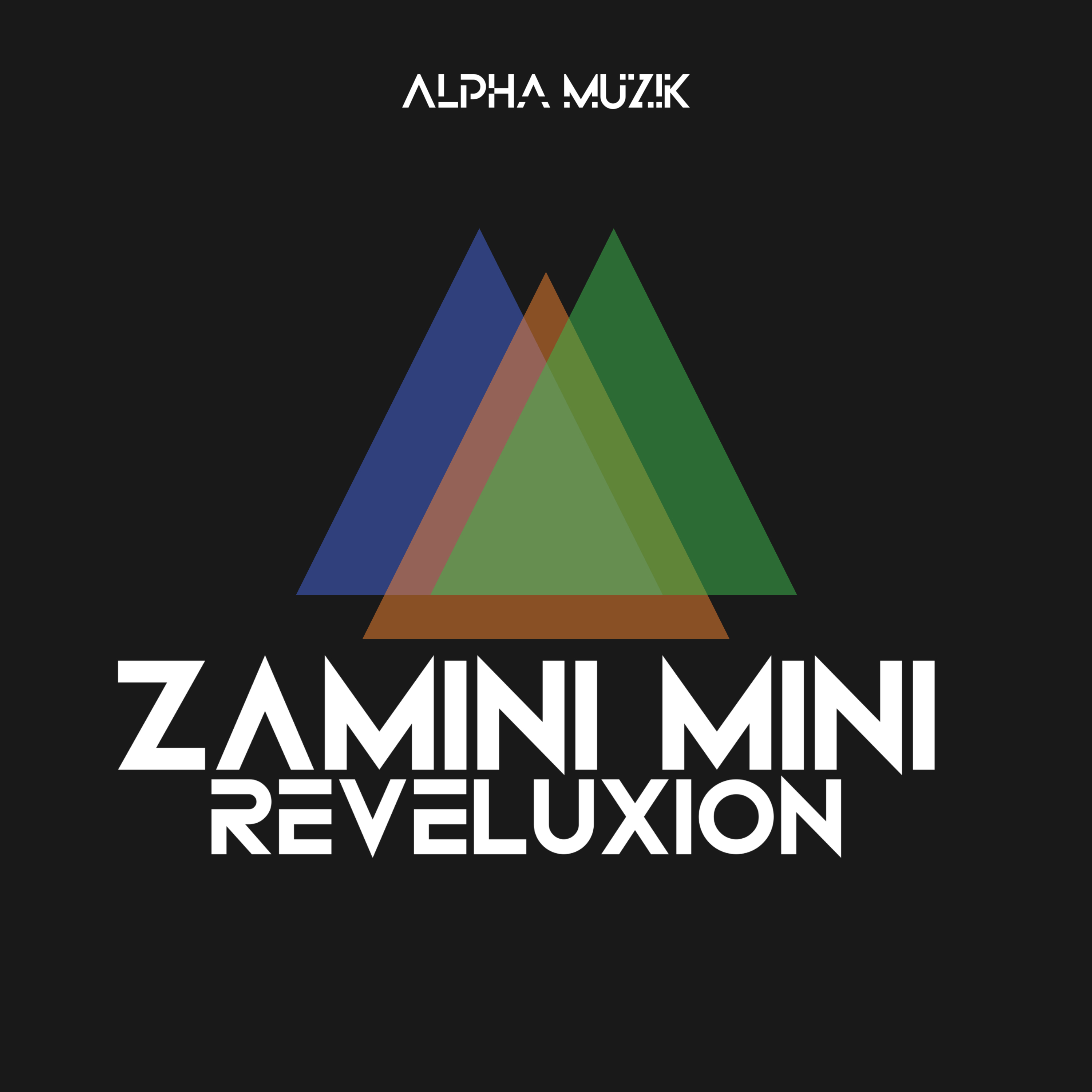 Zamini Mini artwork