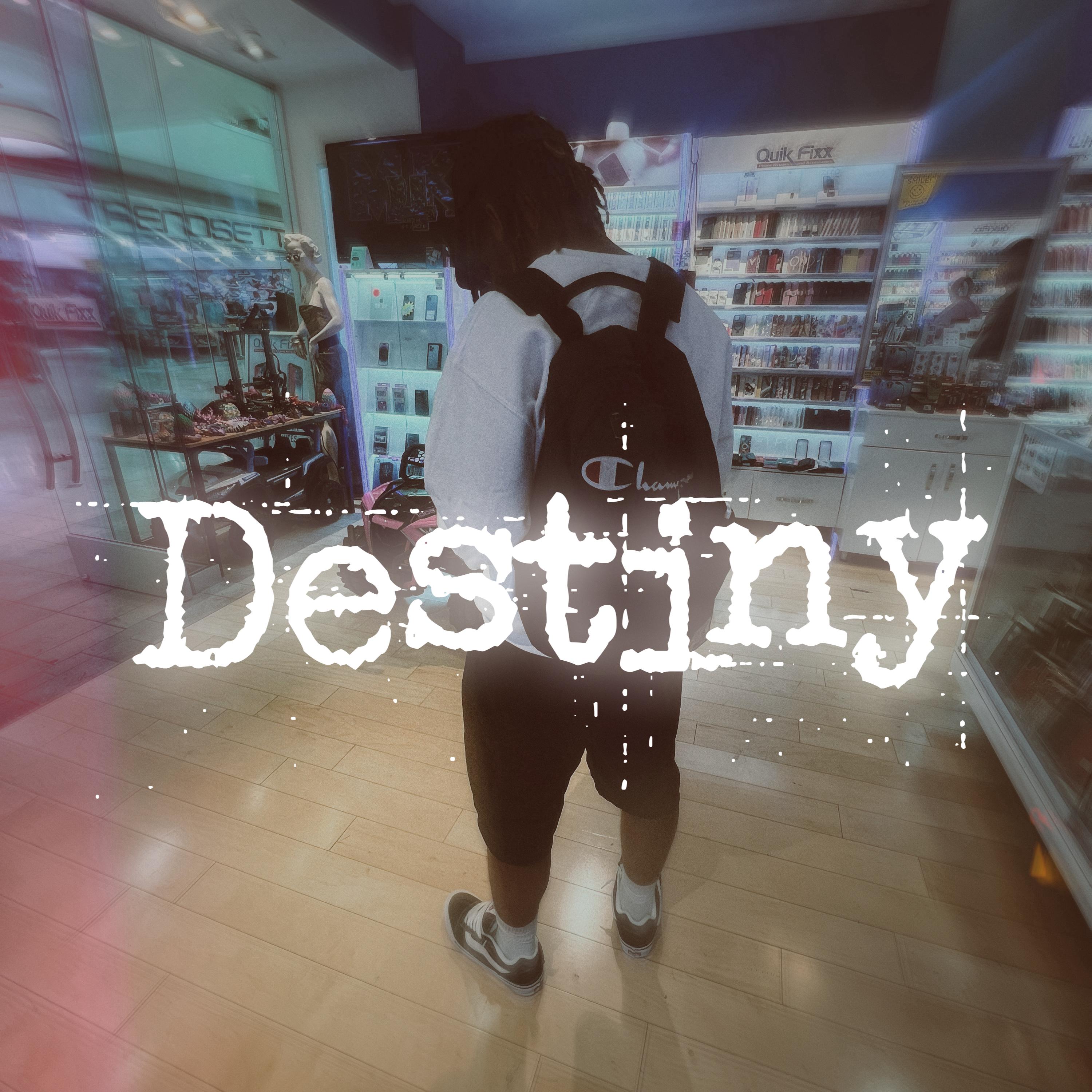 Destiny artwork