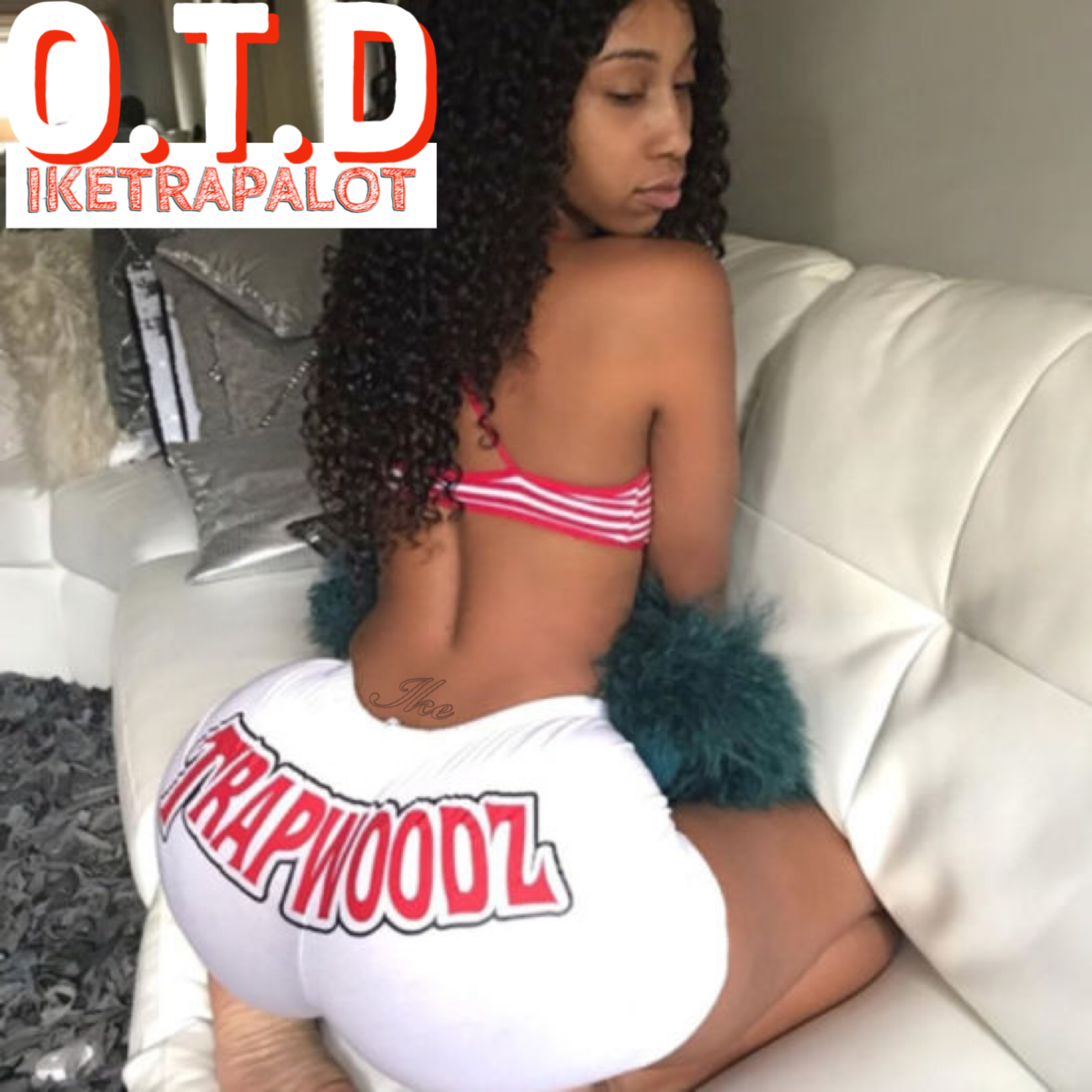 O.T.D TRAPmix artwork