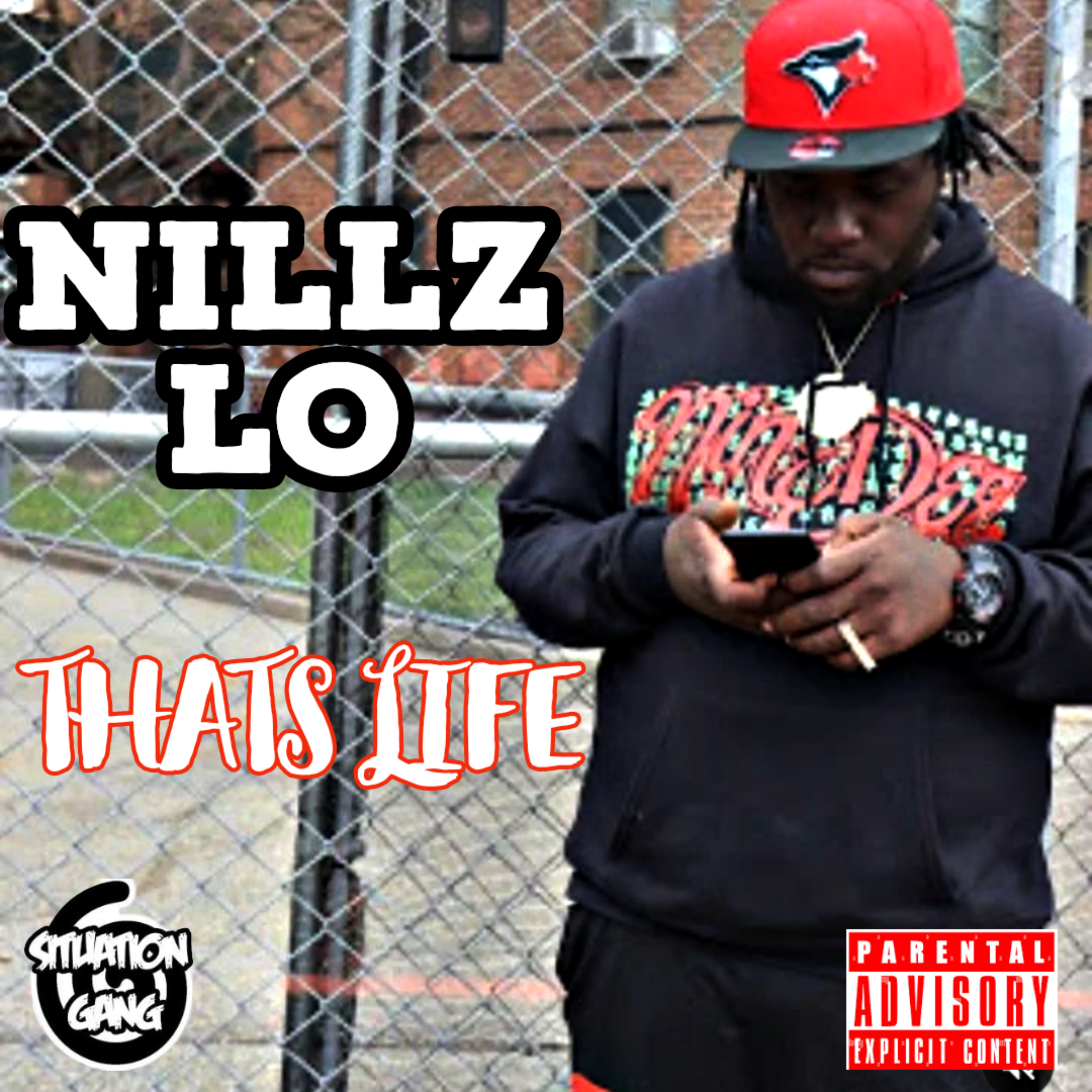 MORE LIFE artwork