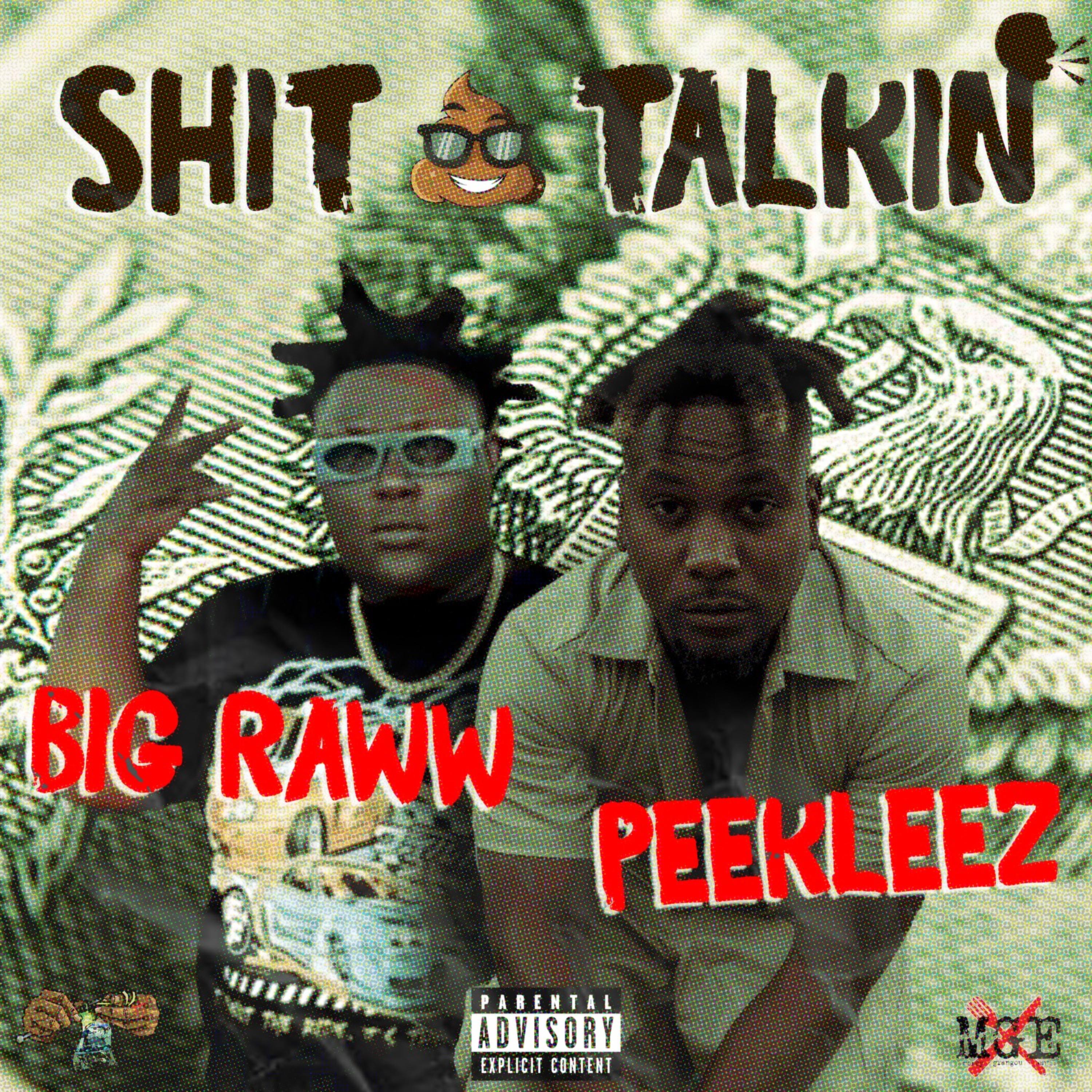 SHITT TALKIN artwork