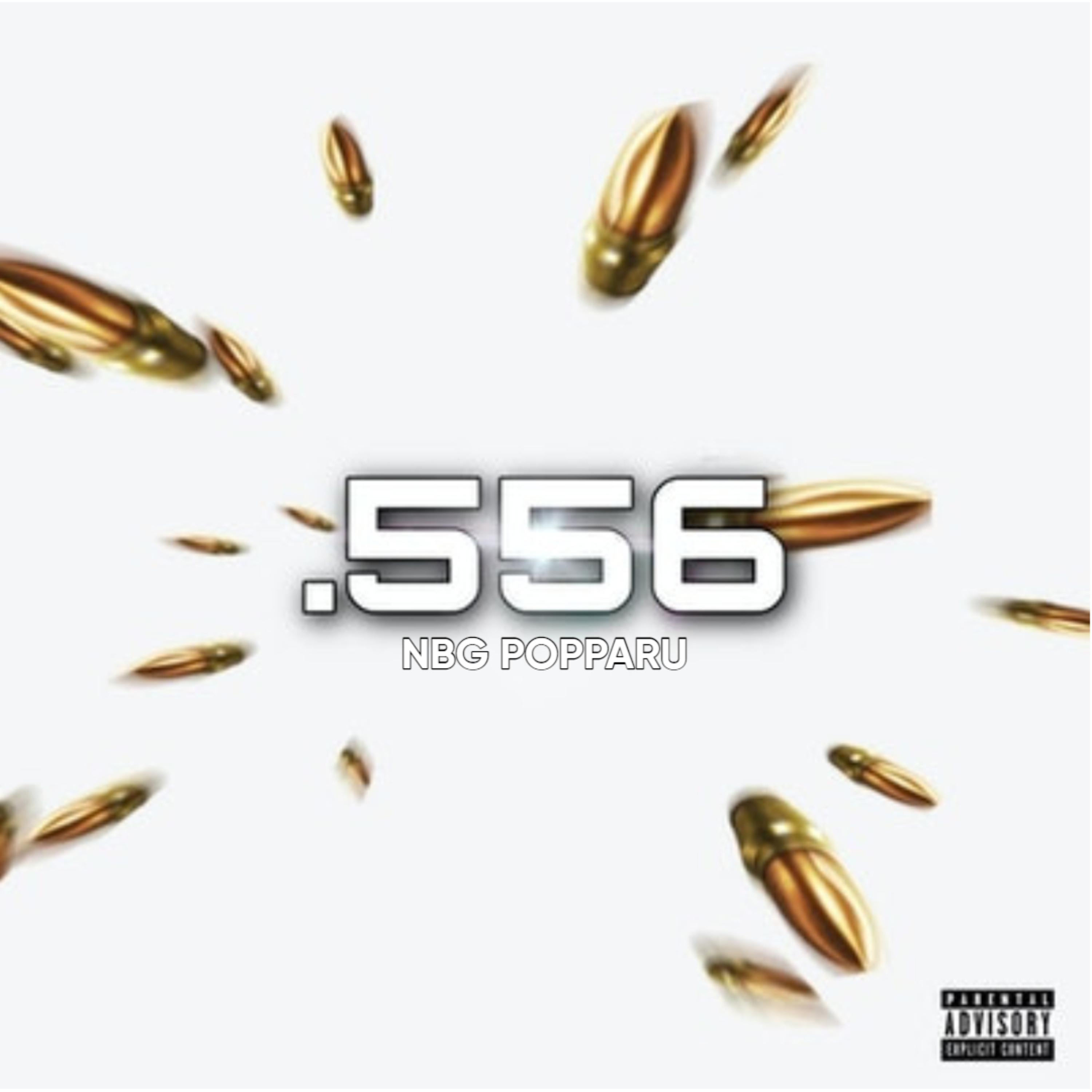 MayDay 556 artwork